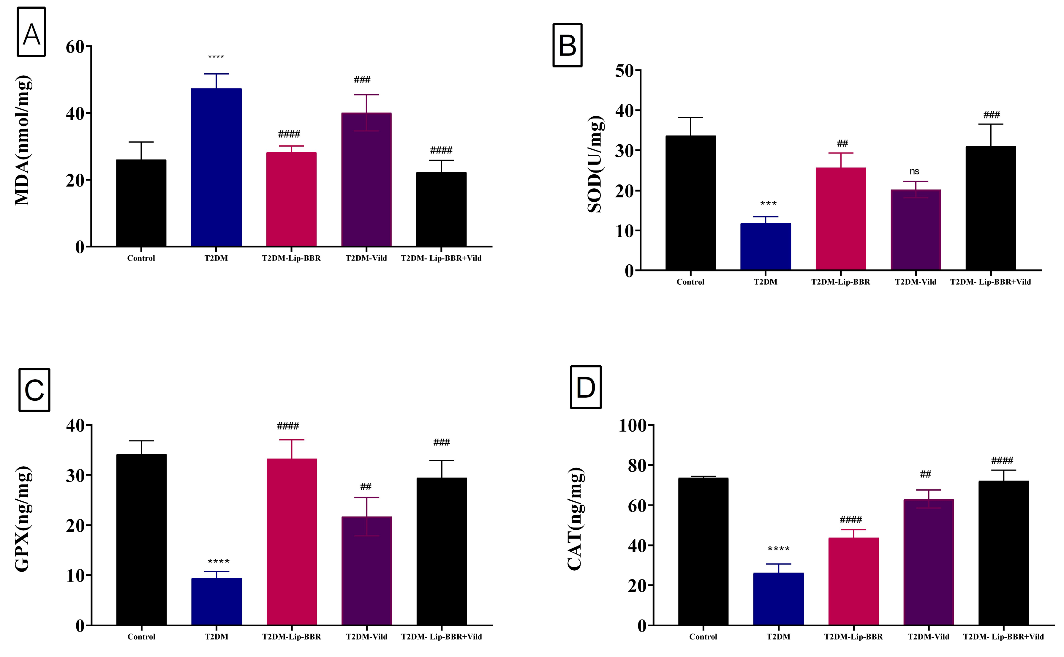 Antioxidants 12 01220 g002 Antioxidants 12 01220 g002