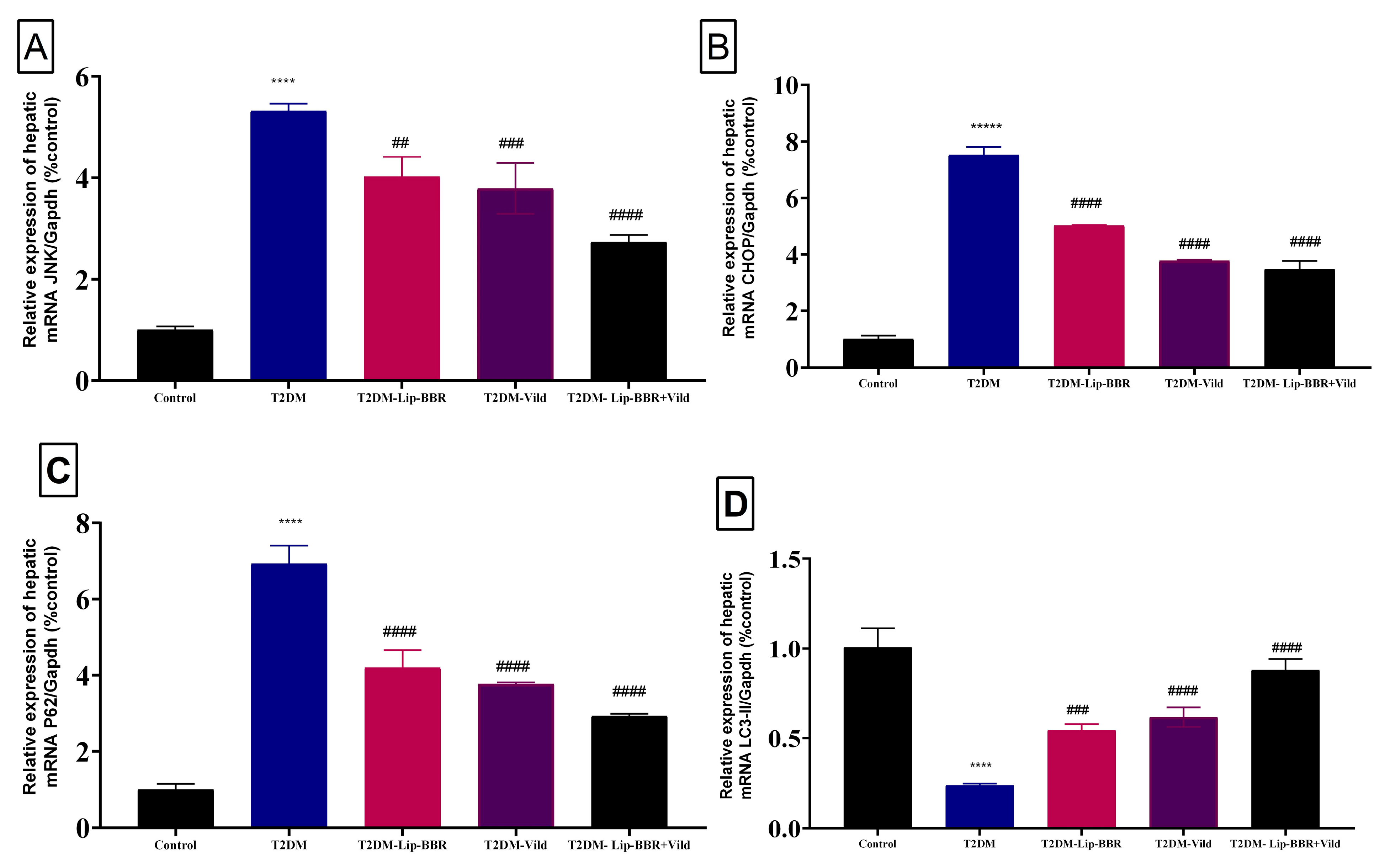 Antioxidants 12 01220 g005 Antioxidants 12 01220 g005