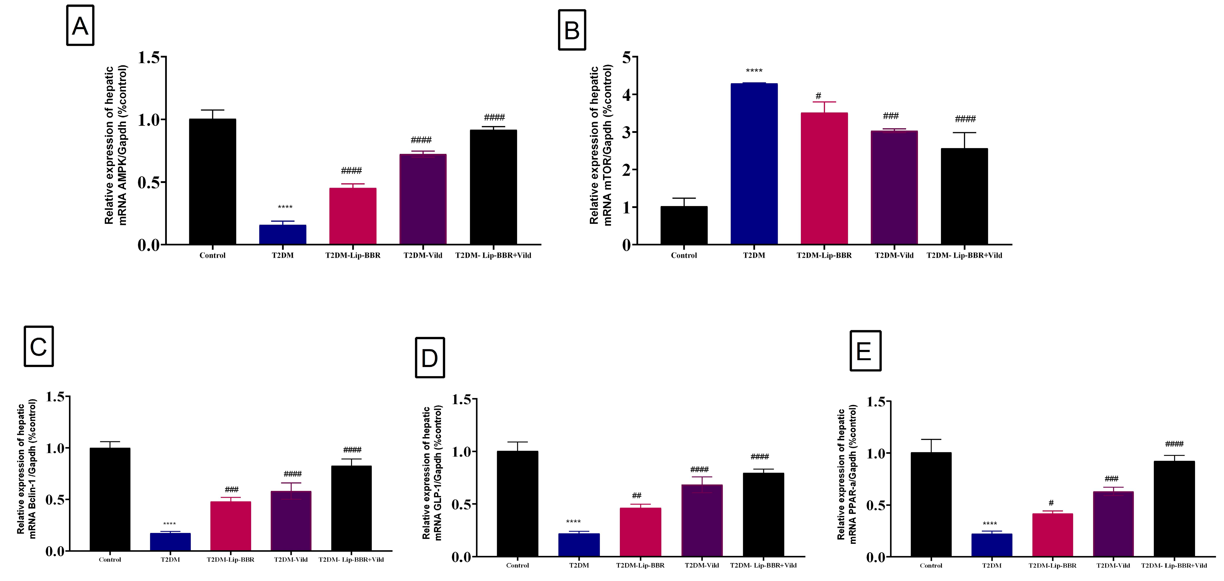 Antioxidants 12 01220 g006 Antioxidants 12 01220 g006