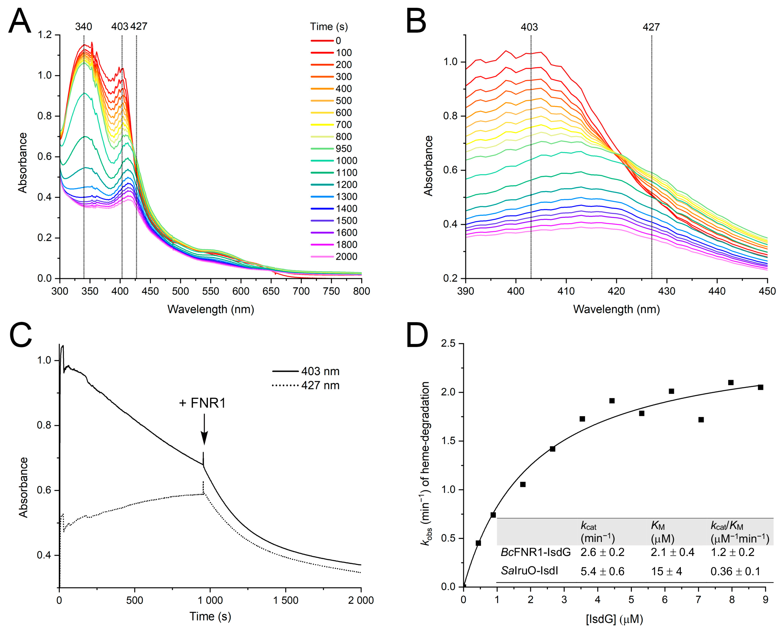 Antioxidants 12 01224 g002 Antioxidants 12 01224 g002