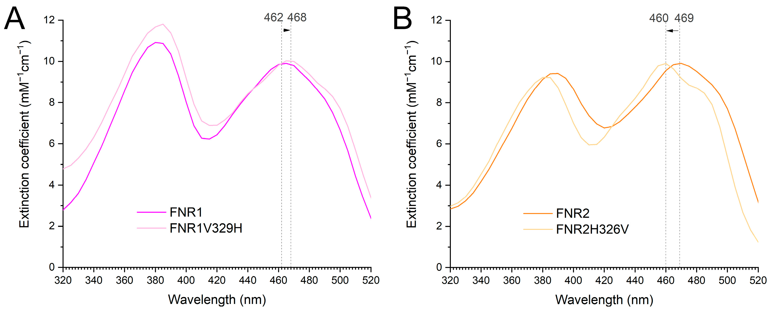 Antioxidants 12 01224 g007 Antioxidants 12 01224 g007