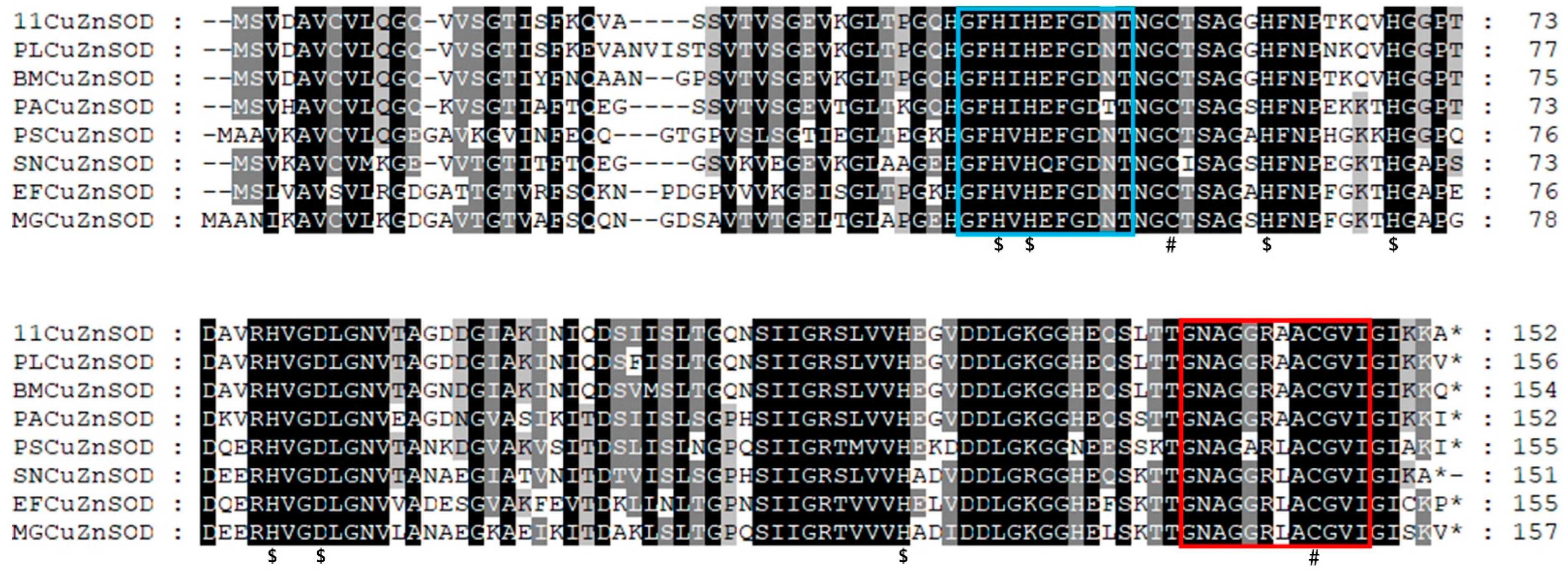 Antioxidants 12 01227 g002
