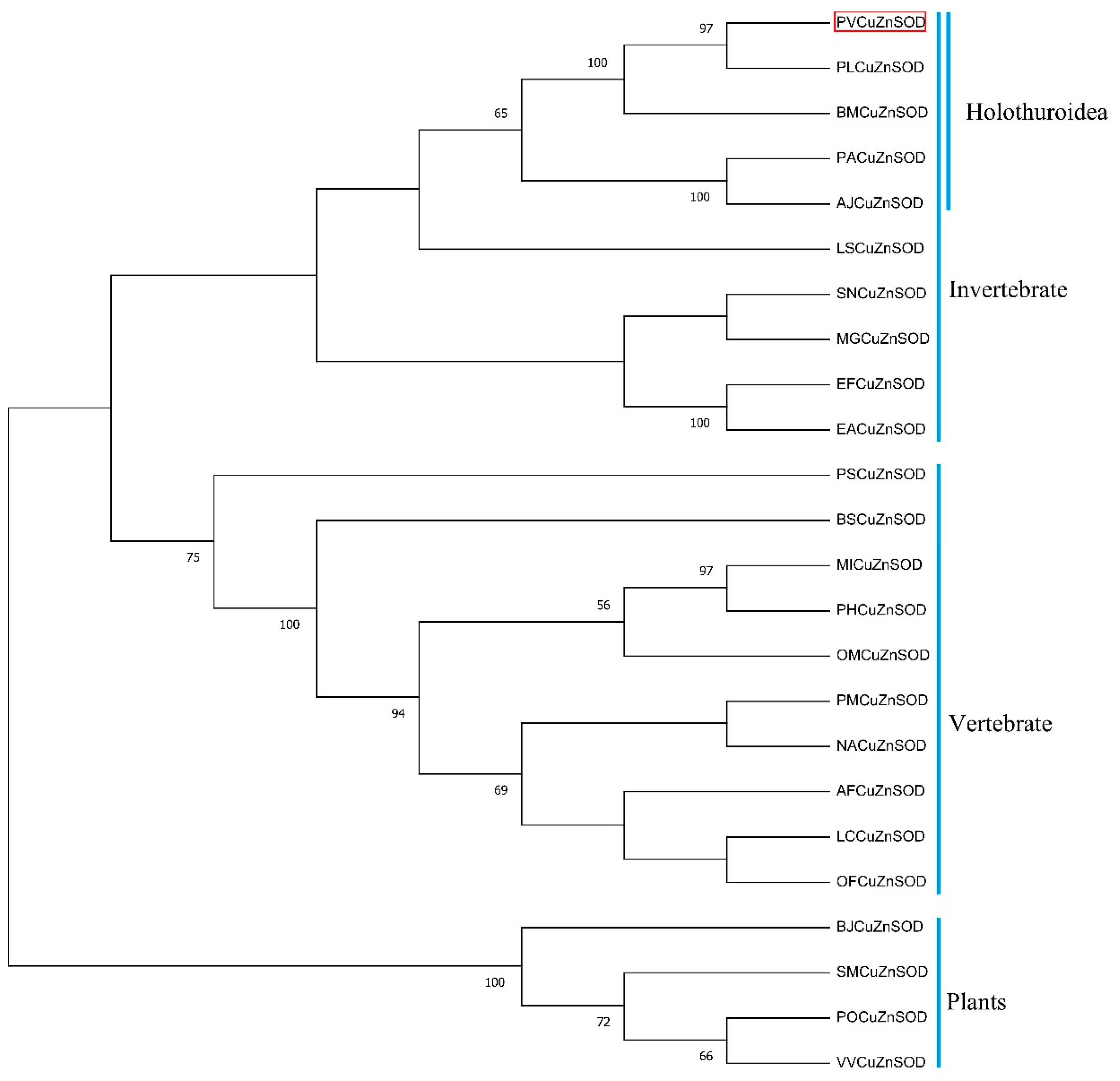 Antioxidants 12 01227 g003