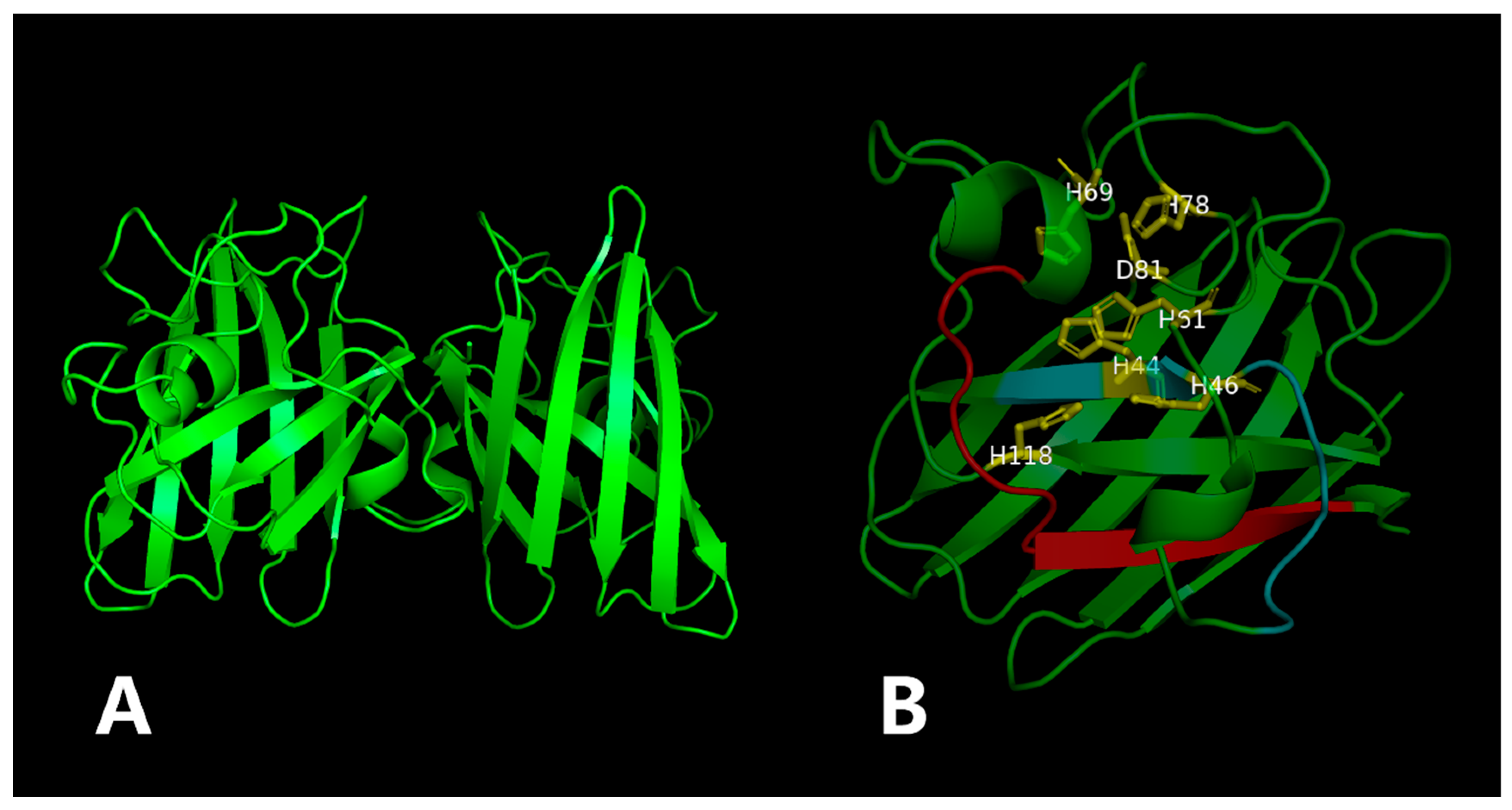 Antioxidants 12 01227 g004