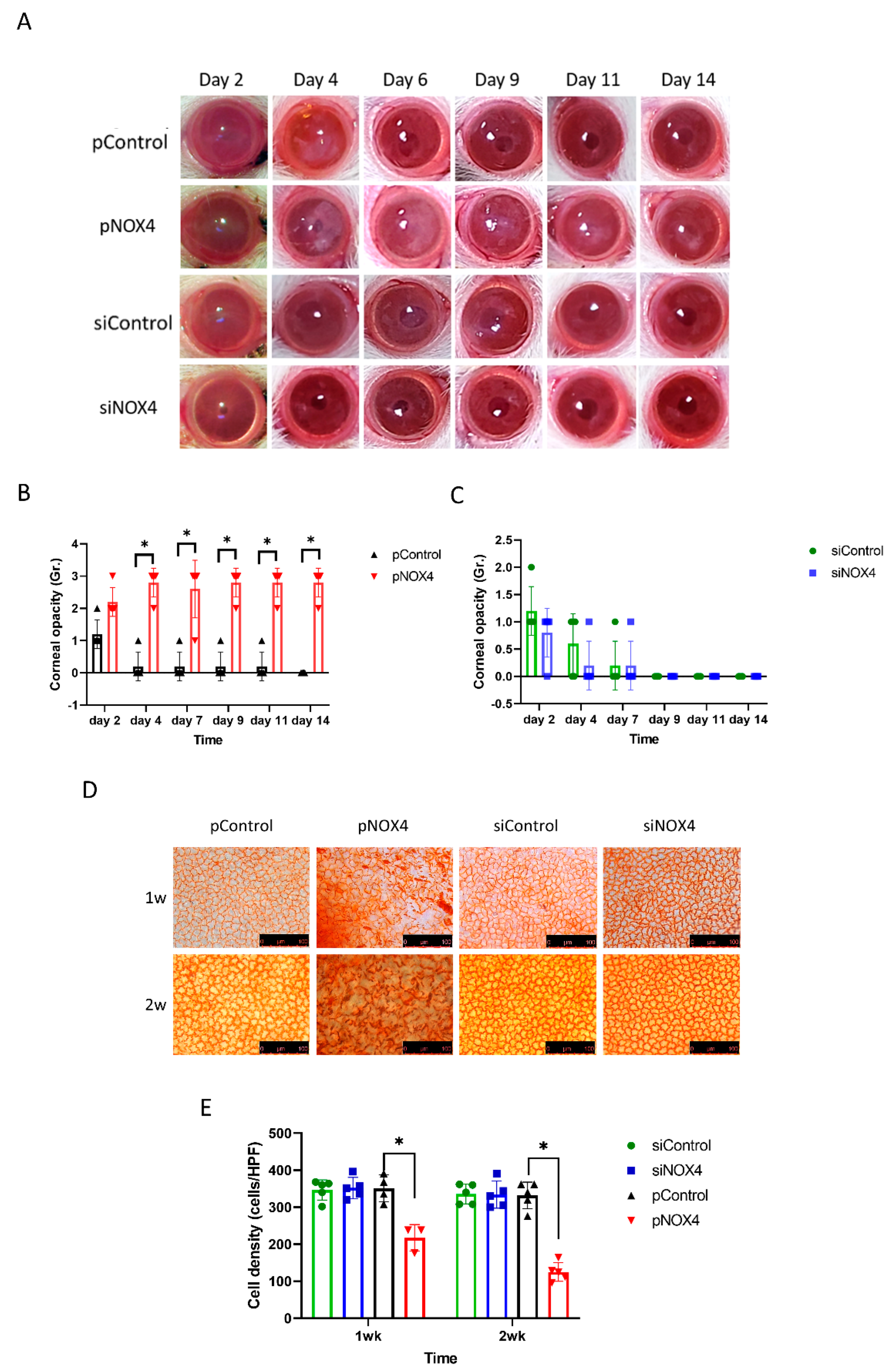 Antioxidants 12 01228 g002