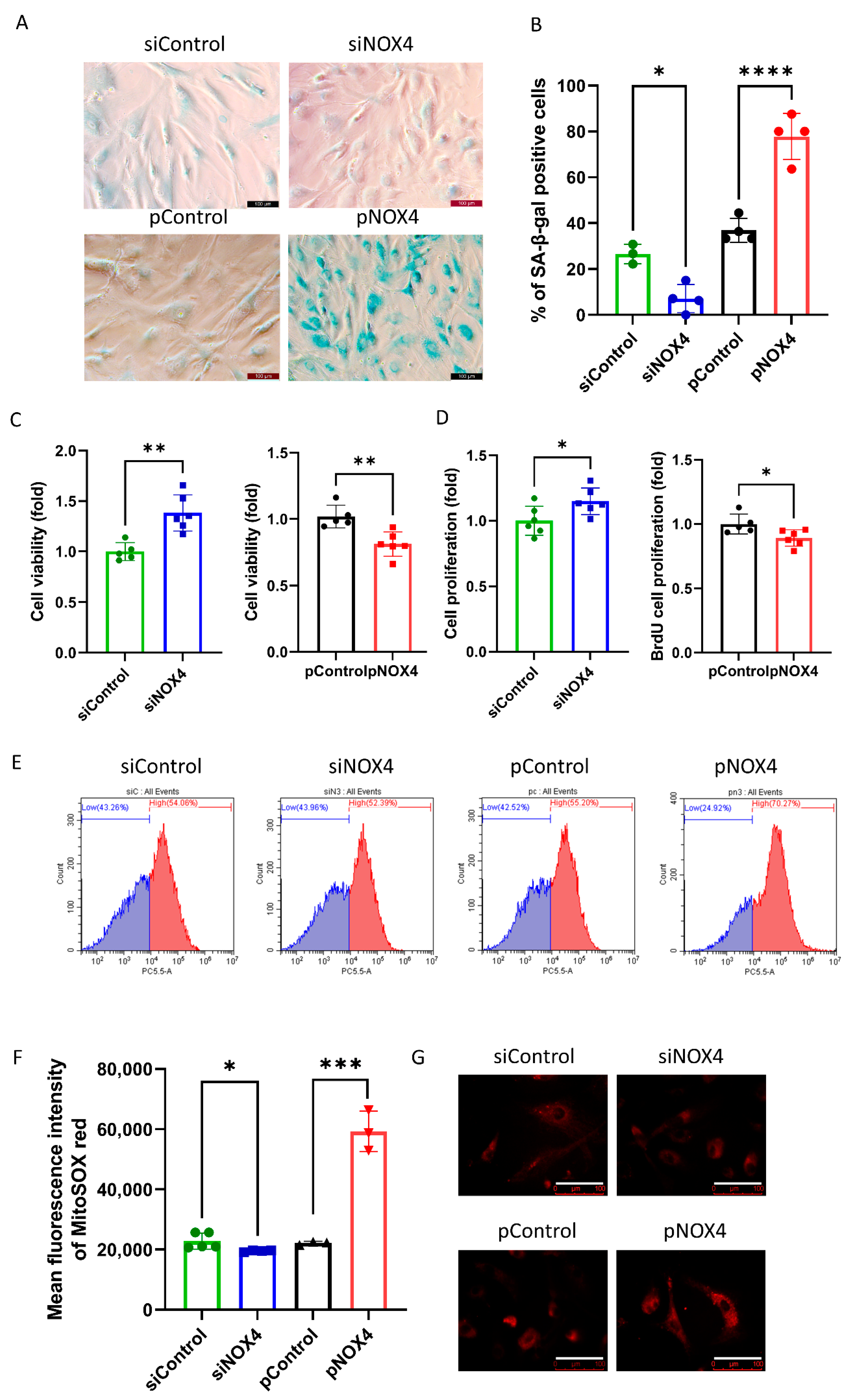 Antioxidants 12 01228 g005