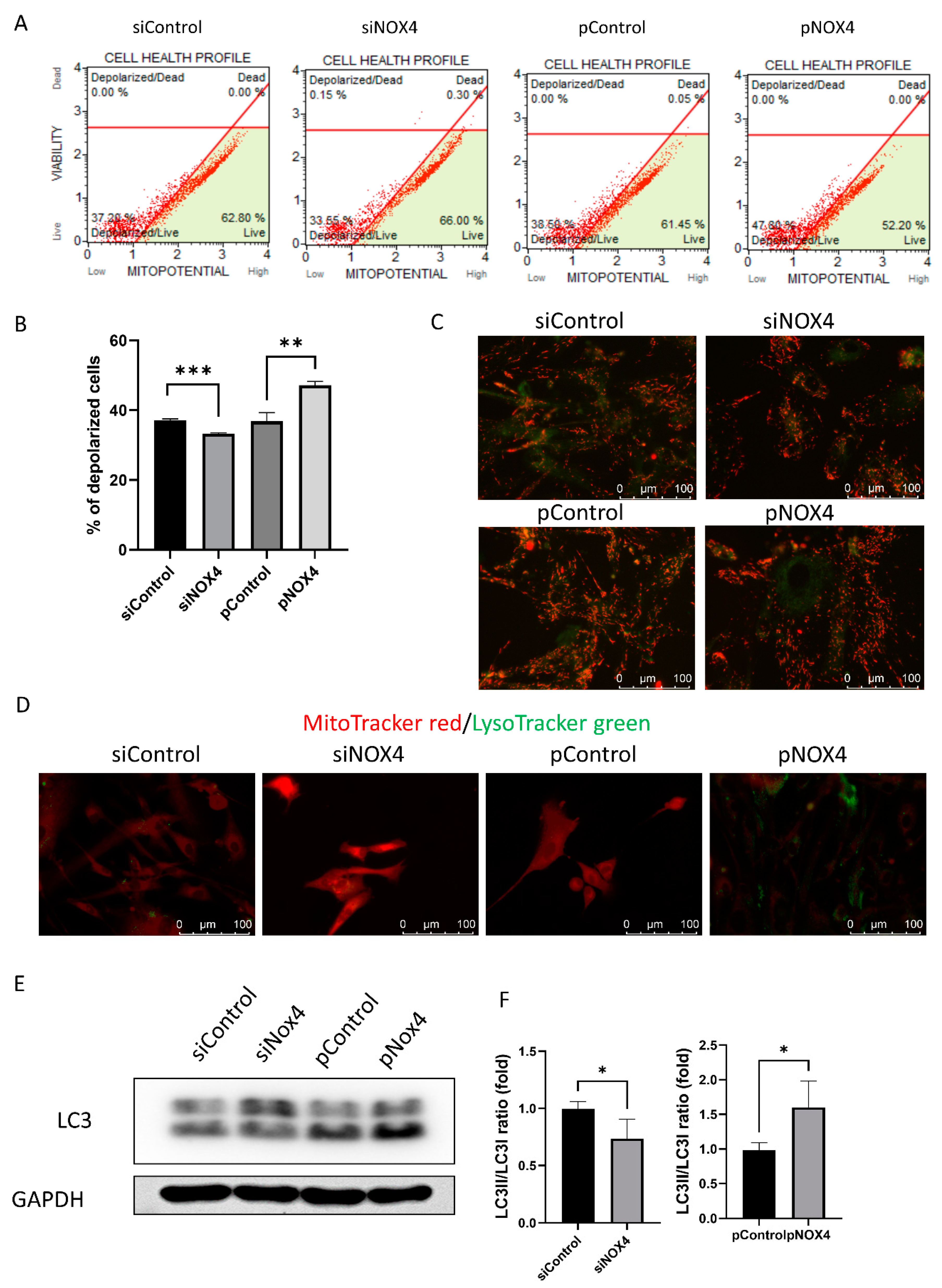 Antioxidants 12 01228 g007