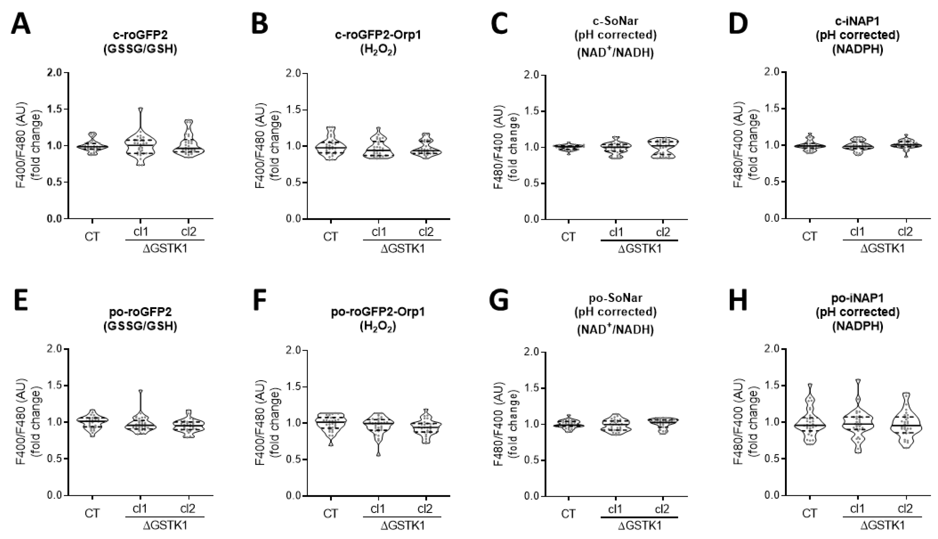 Antioxidants 12 01236 g004