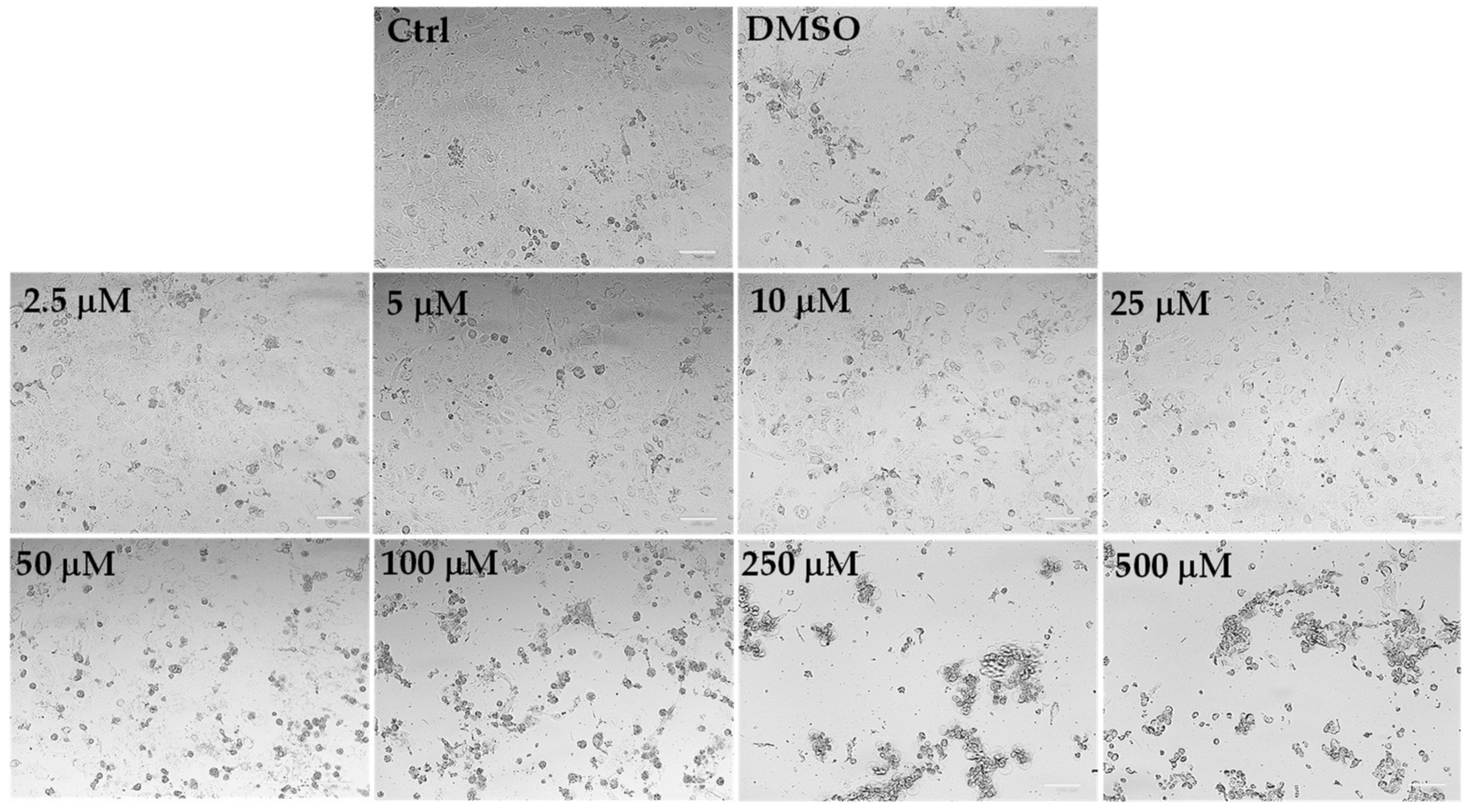 Antioxidants 12 01238 g006