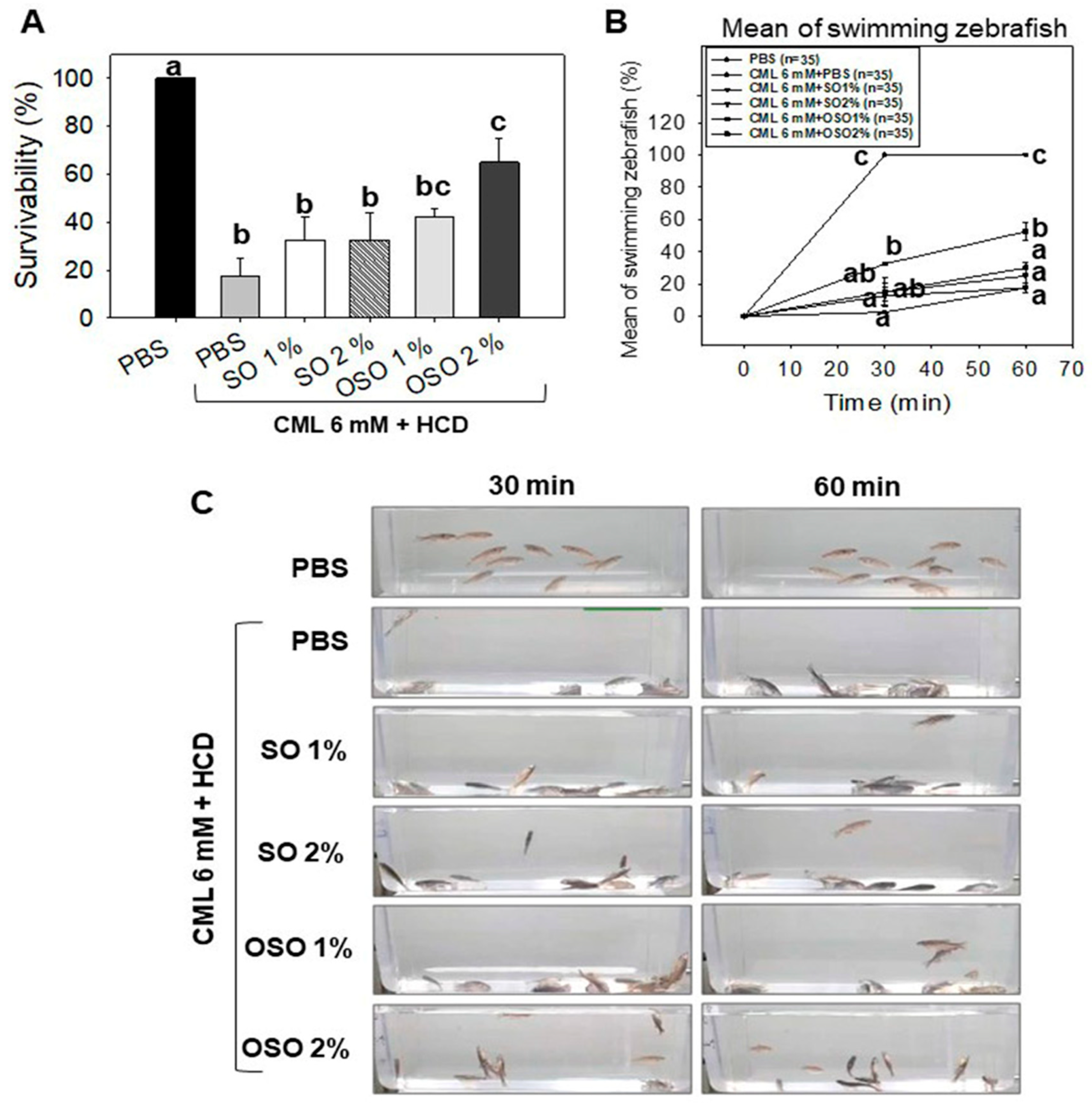 Antioxidants 12 01240 g002
