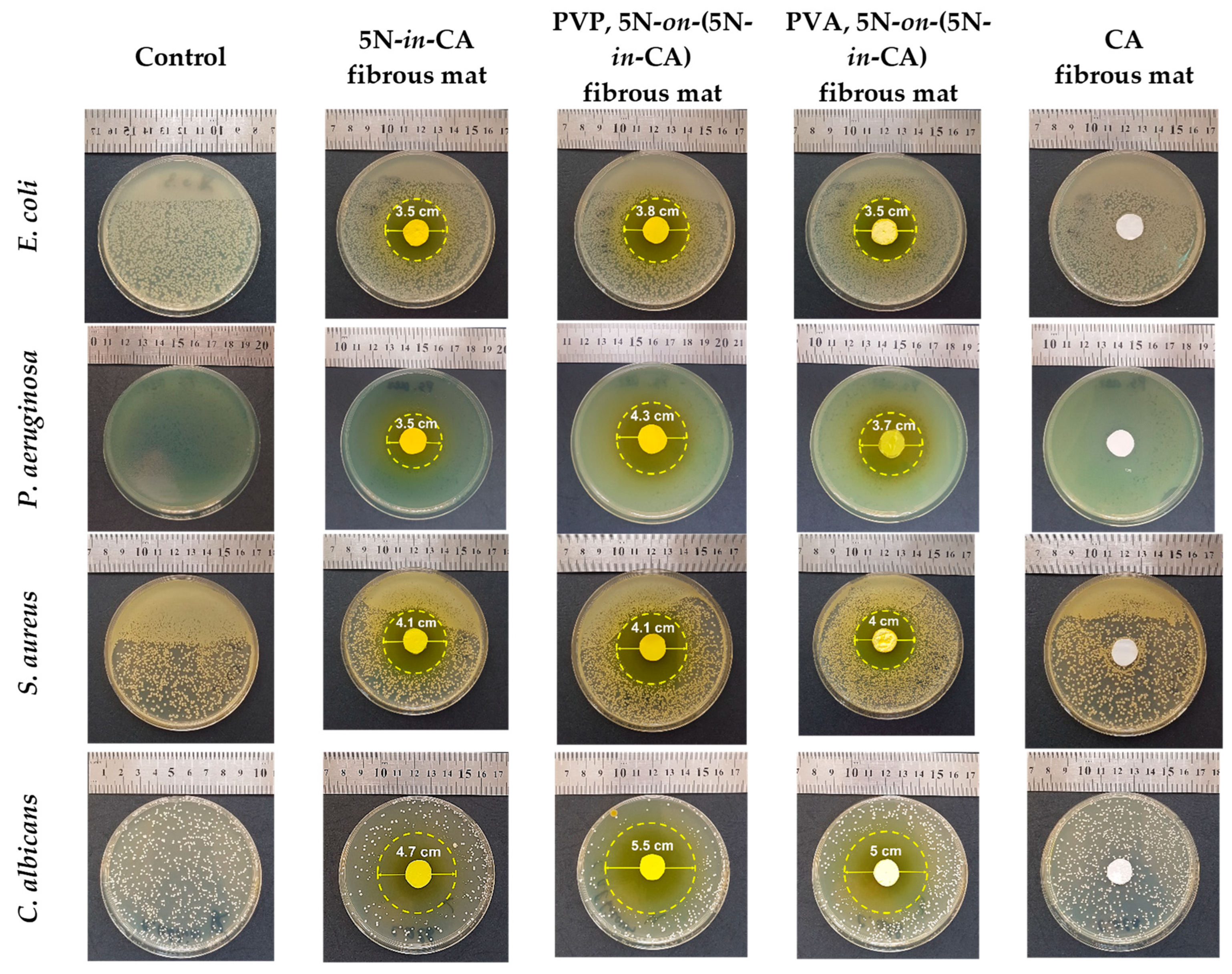 Antioxidants 12 01243 g008 Antioxidants 12 01243 g008
