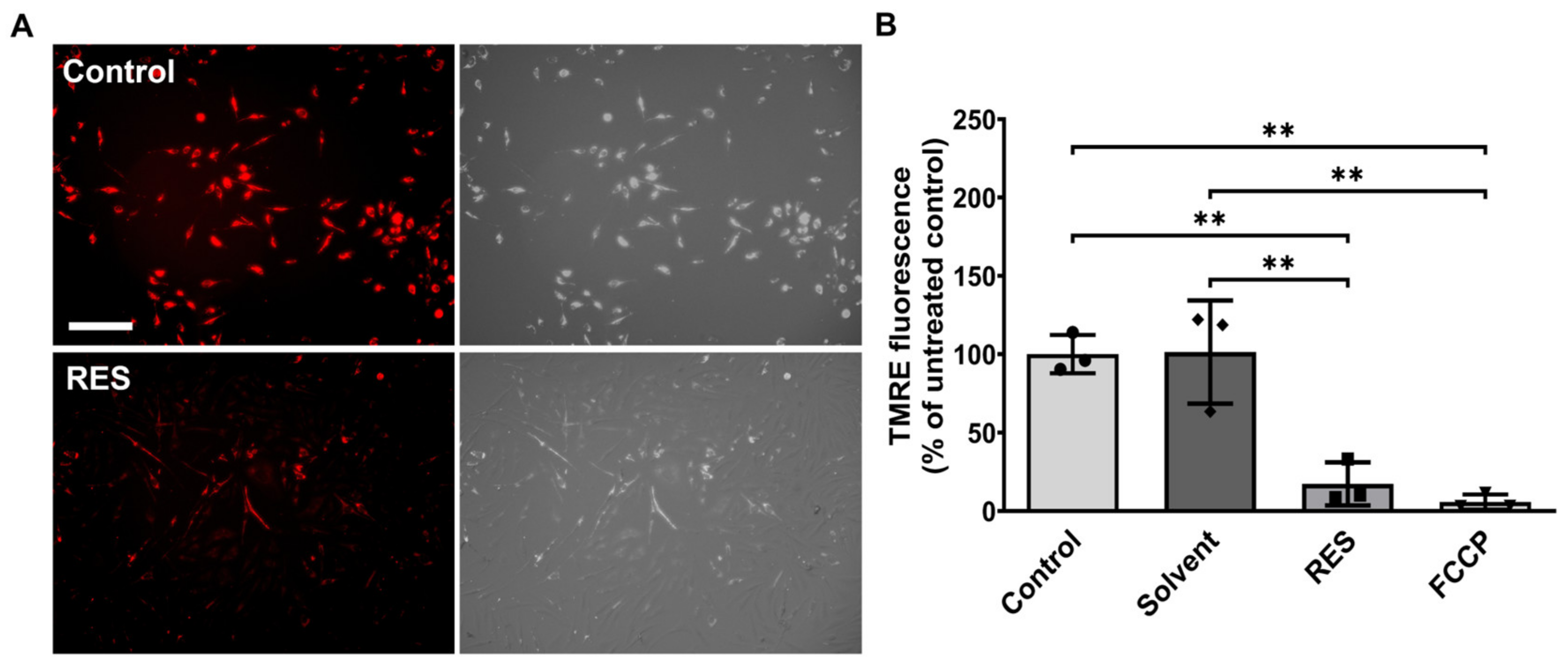 Antioxidants 12 01248 g003