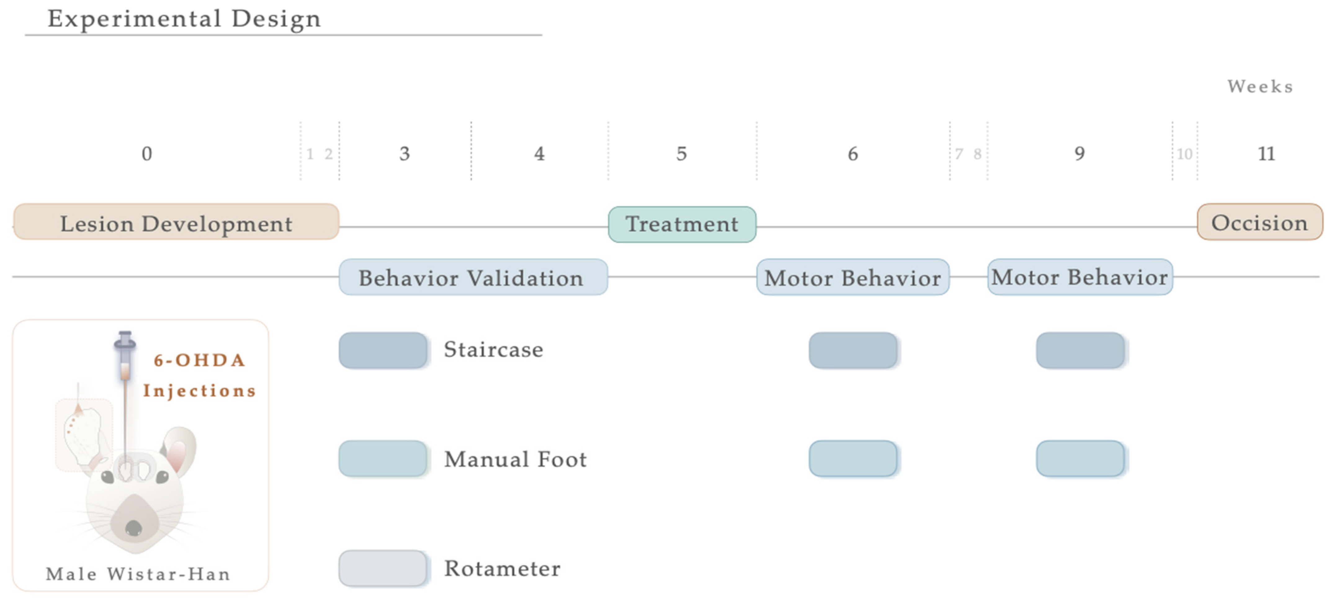 Antioxidants 12 01257 g001