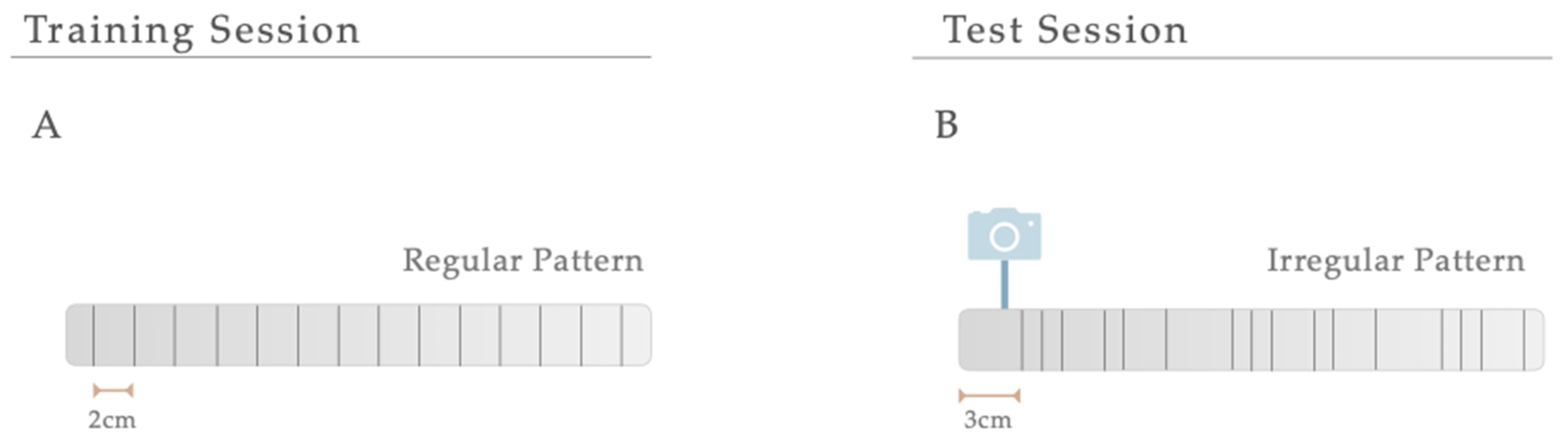Antioxidants 12 01257 g002
