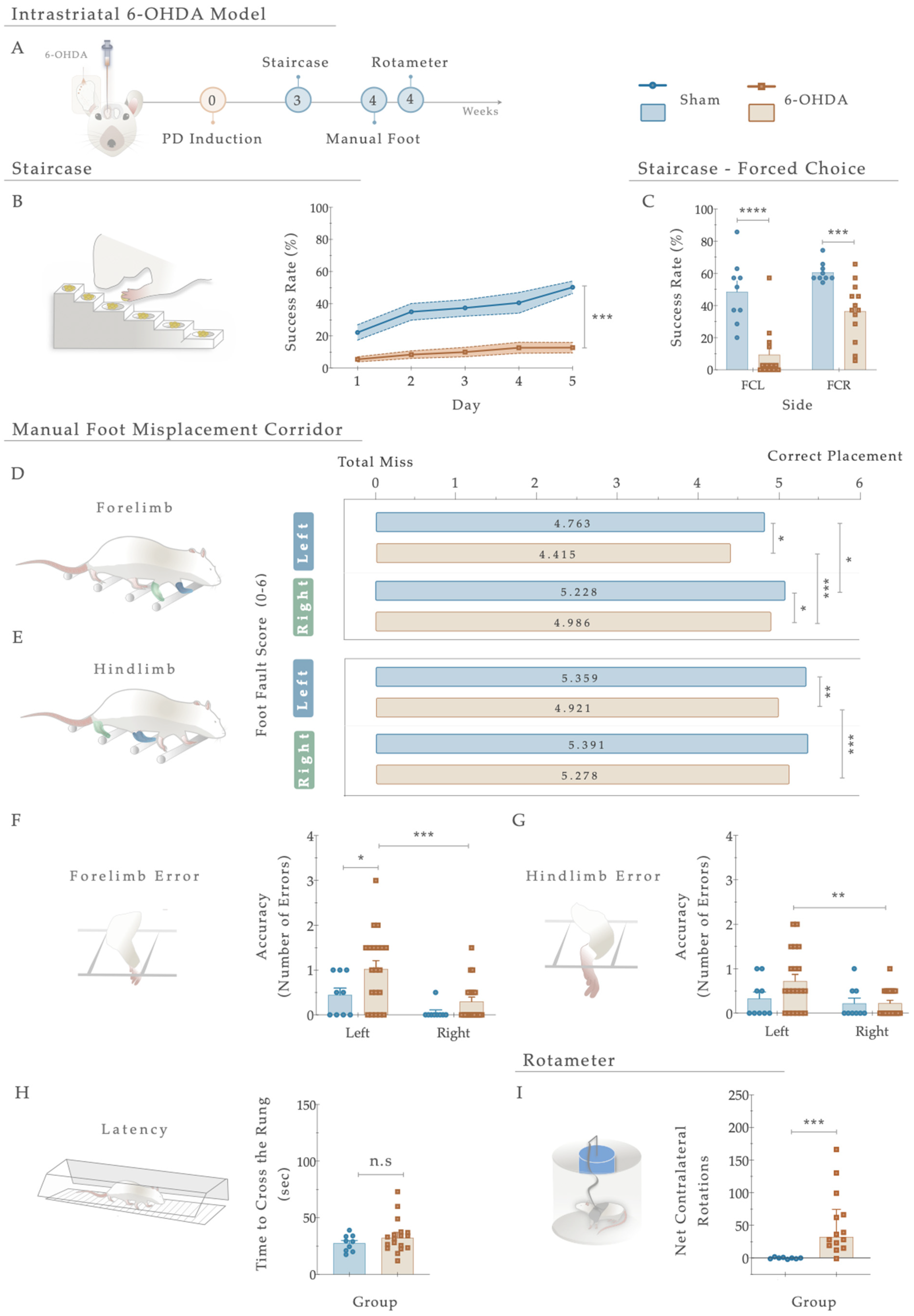 Antioxidants 12 01257 g003