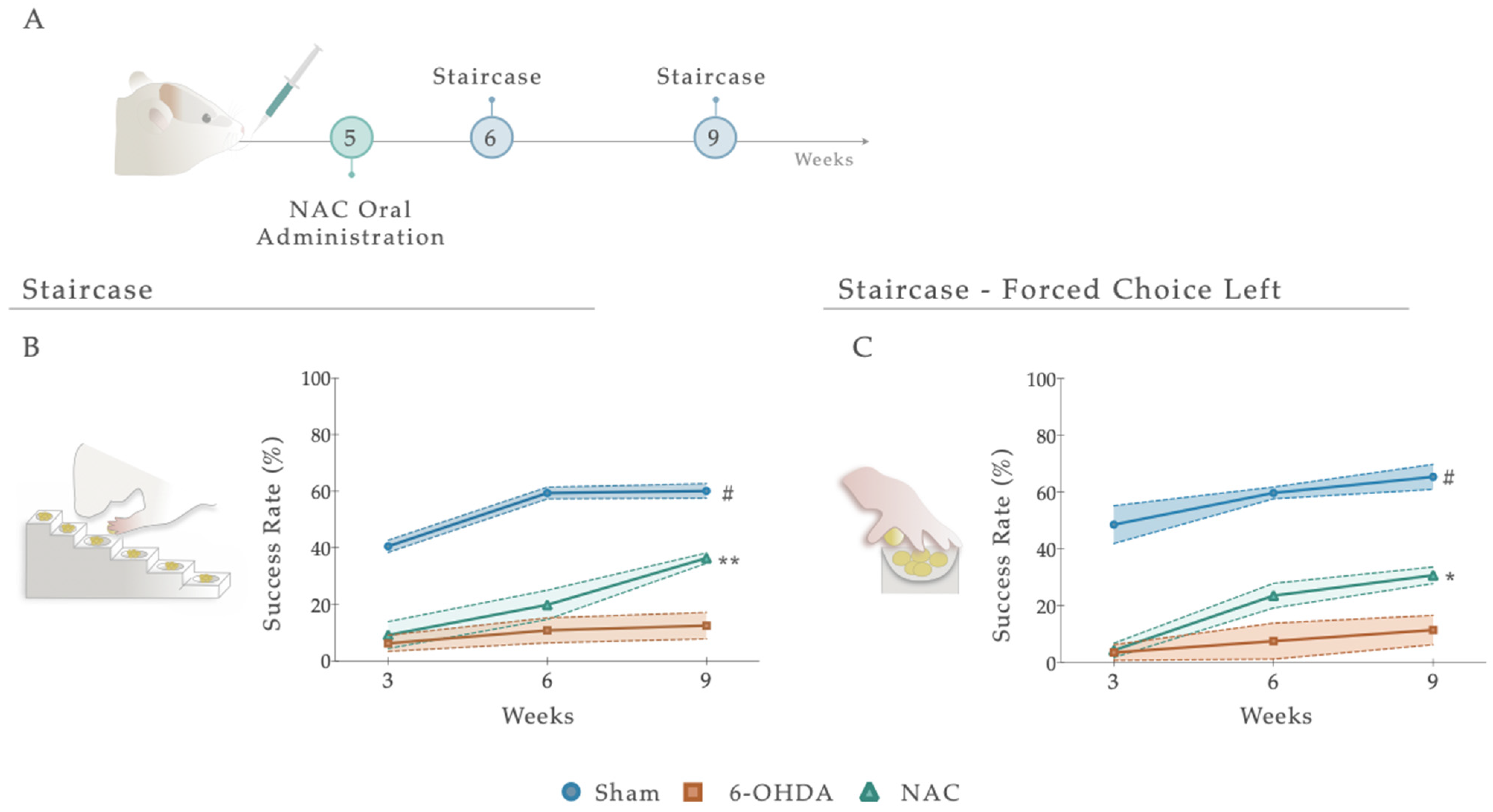 Antioxidants 12 01257 g004