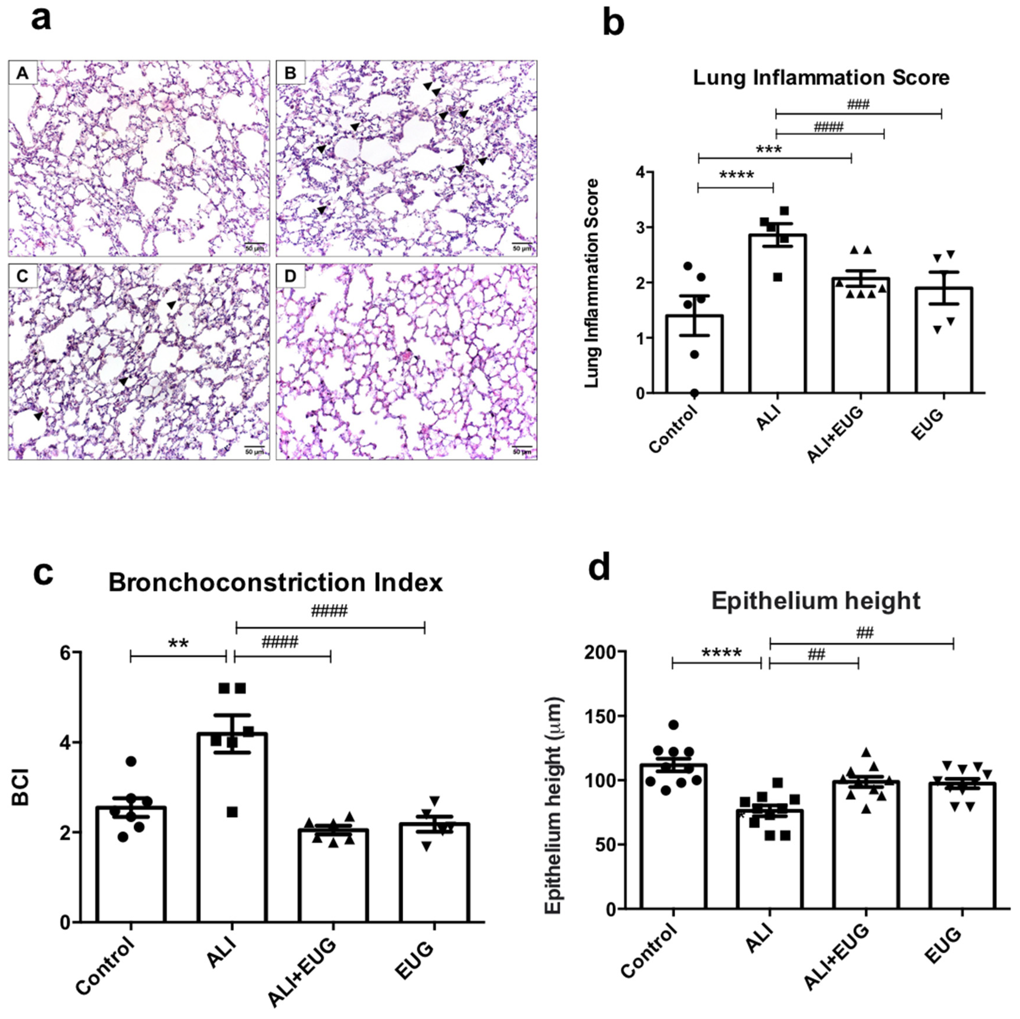 Antioxidants 12 01258 g001 Antioxidants 12 01258 g001