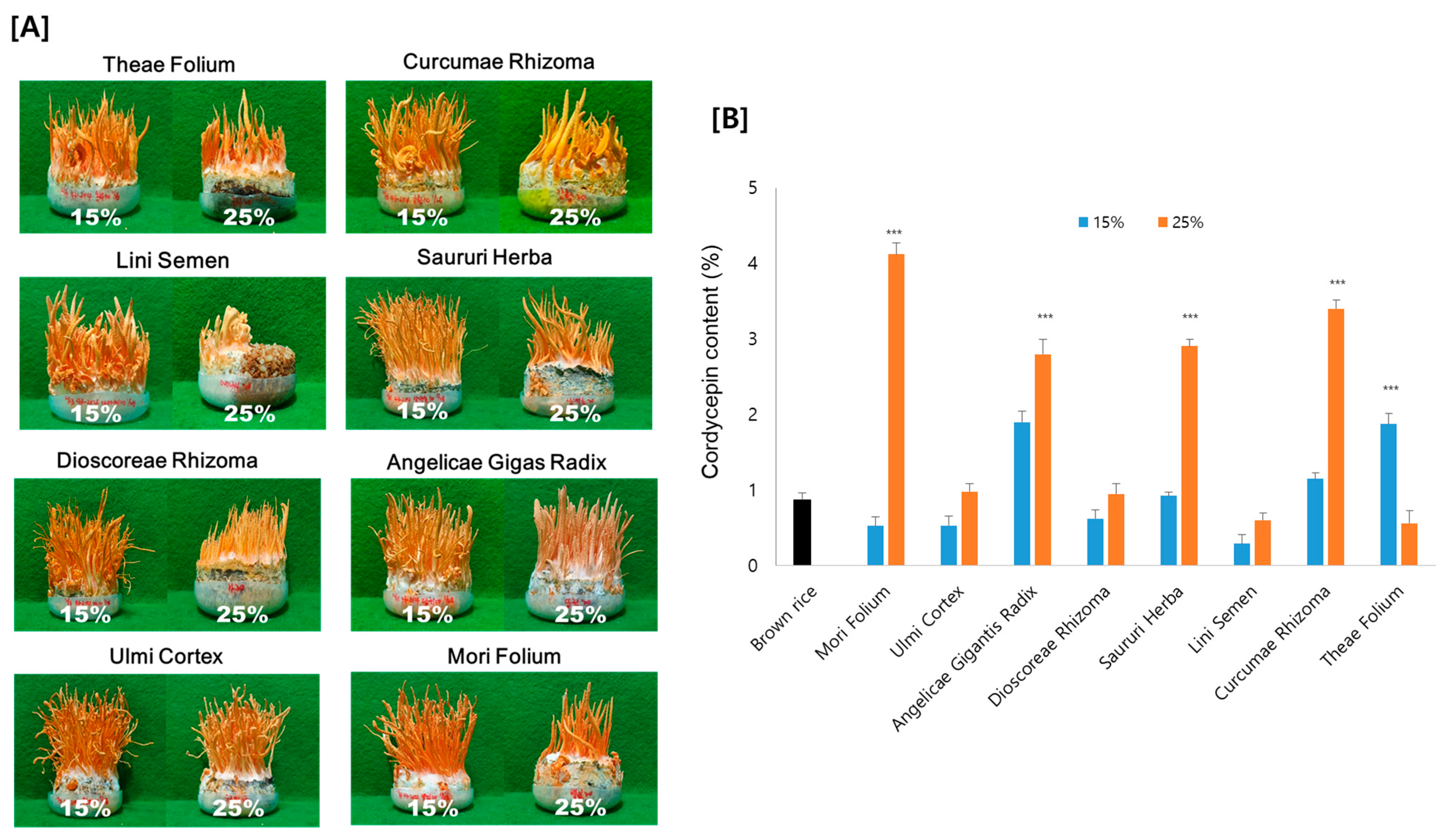 Antioxidants 12 01260 g002 Antioxidants 12 01260 g002