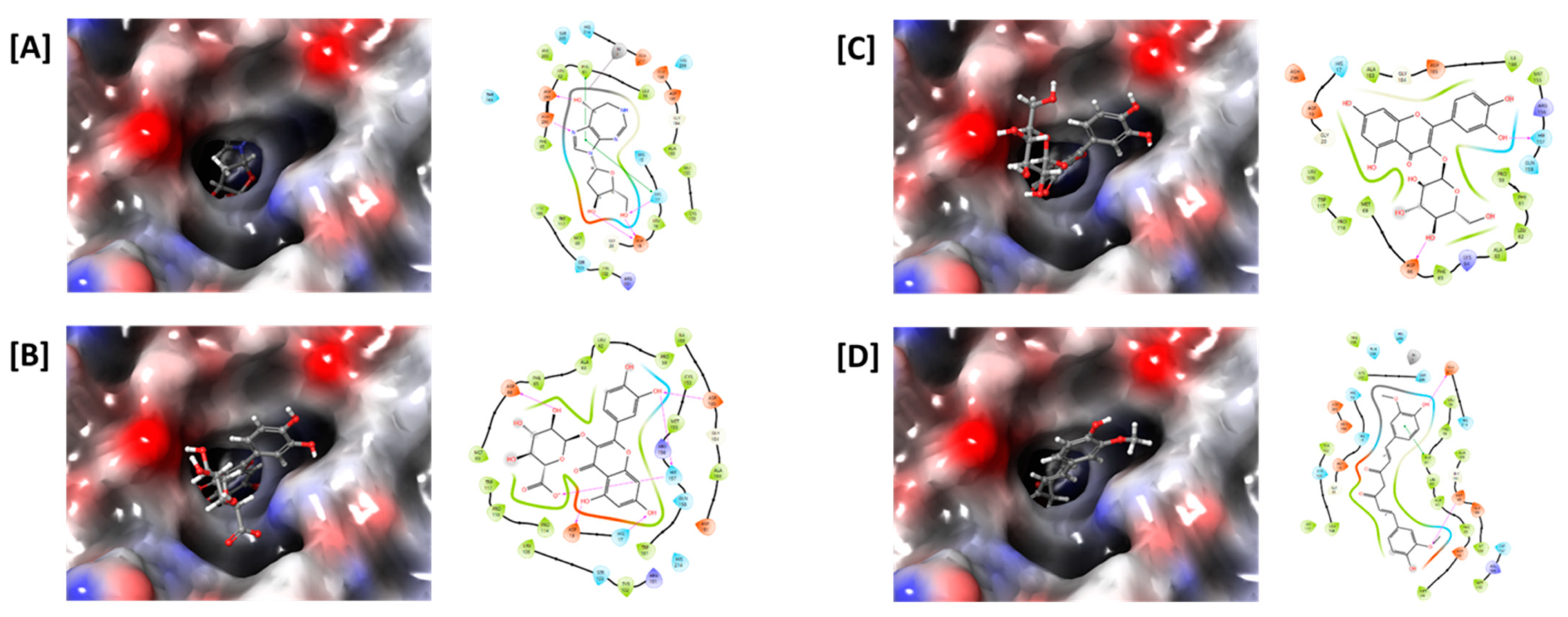 Antioxidants 12 01260 g005 Antioxidants 12 01260 g005