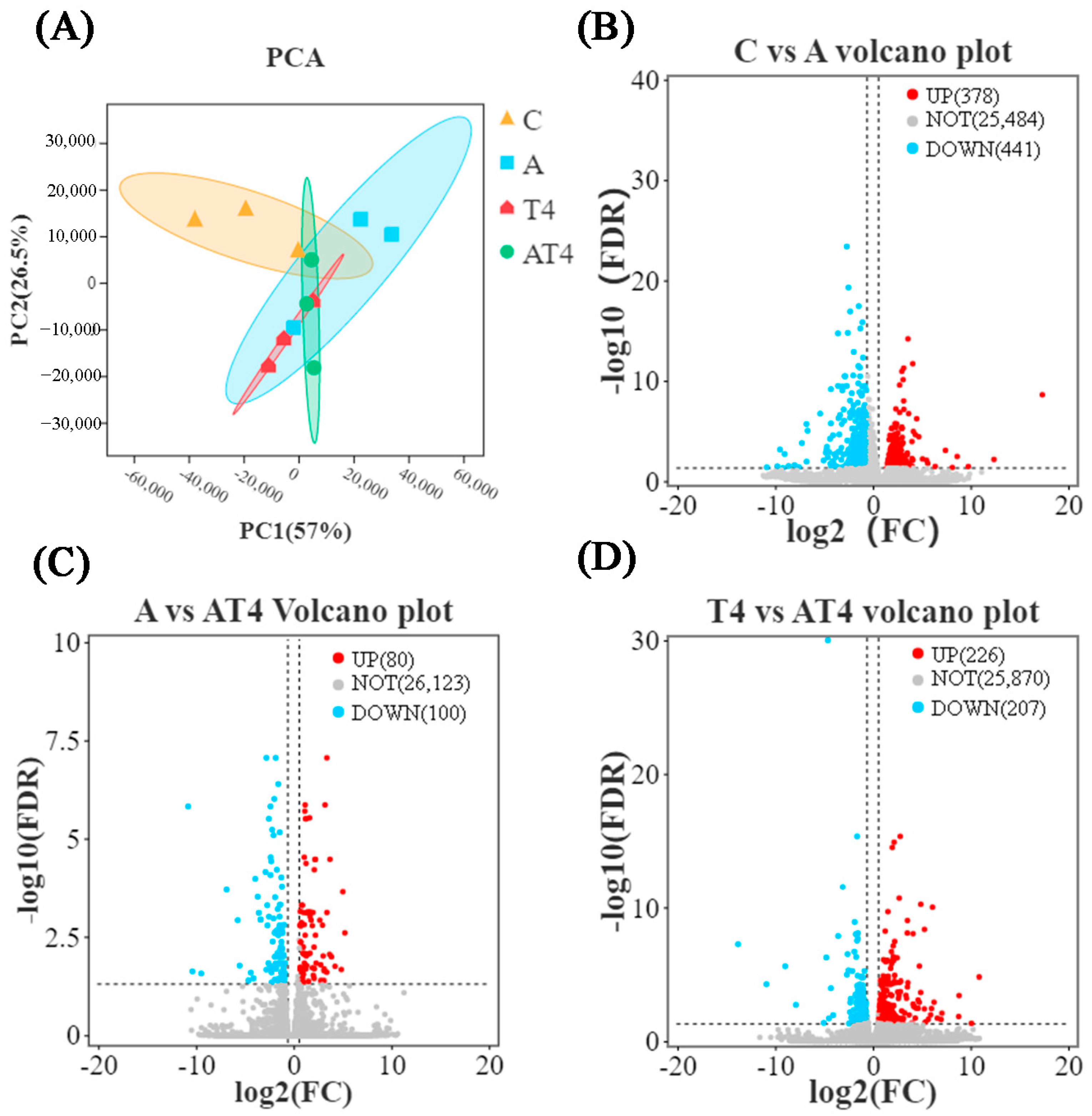 Antioxidants 12 01262 g003 Antioxidants 12 01262 g003