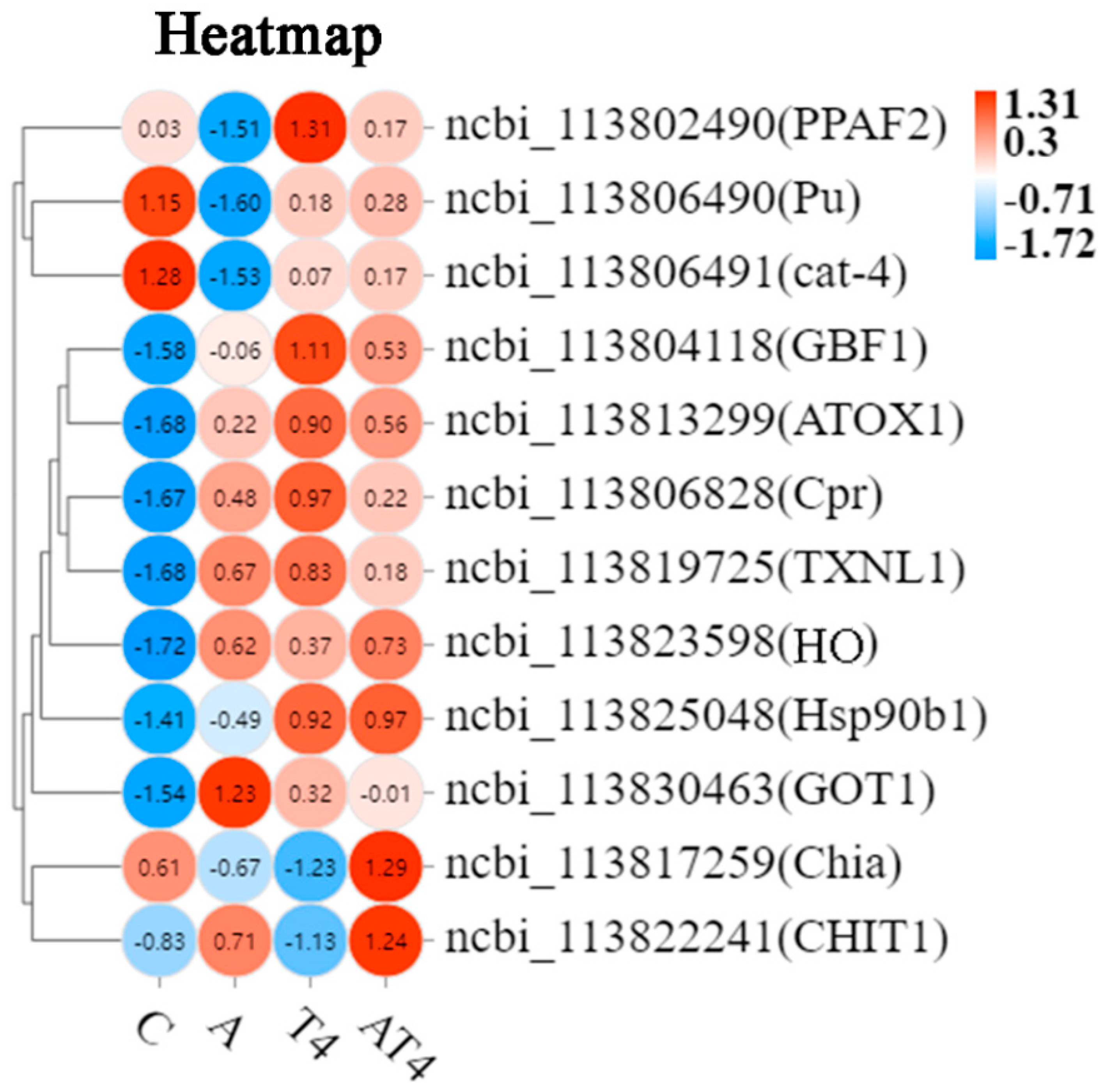 Antioxidants 12 01262 g004 Antioxidants 12 01262 g004