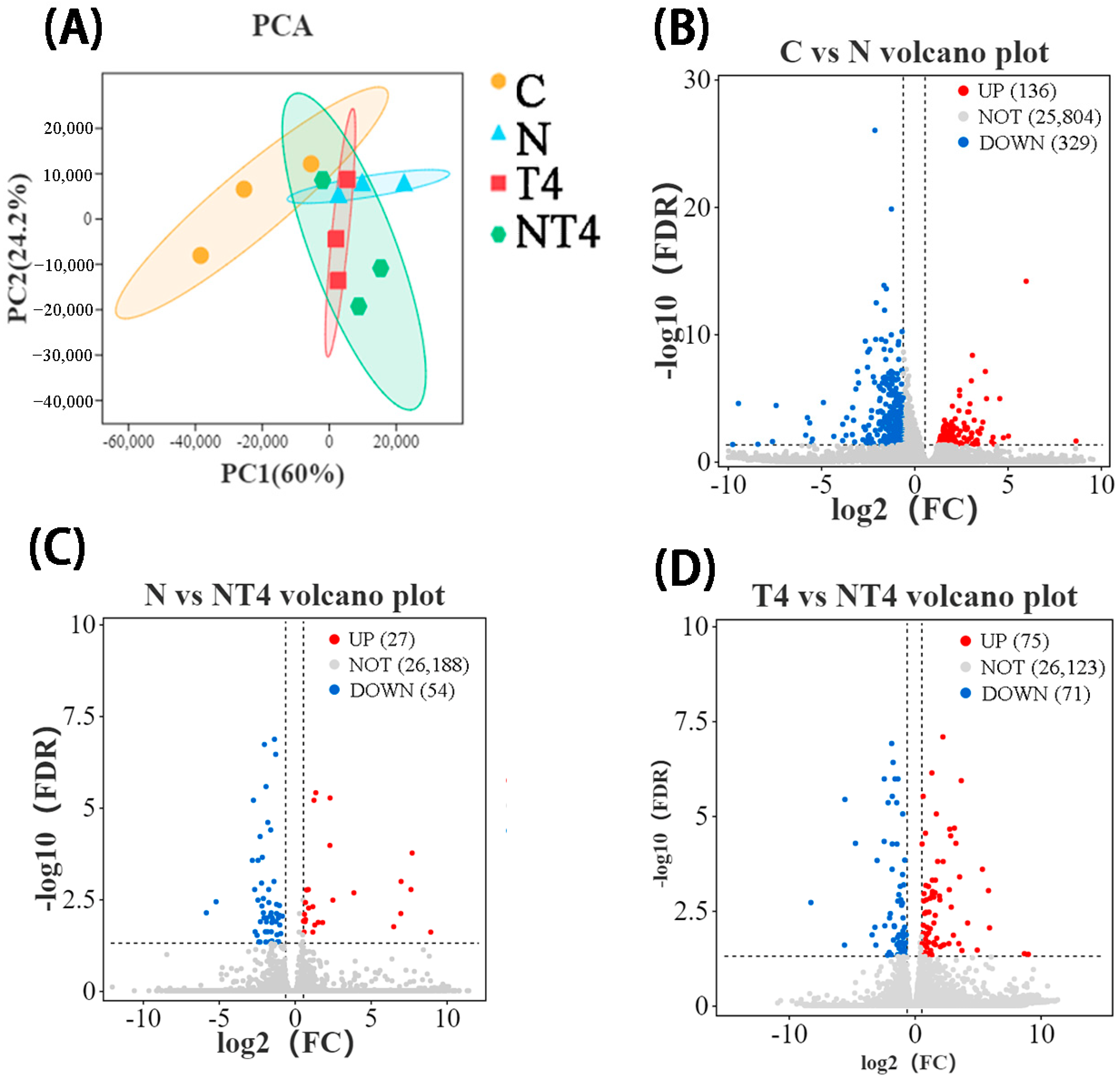 Antioxidants 12 01262 g007 Antioxidants 12 01262 g007