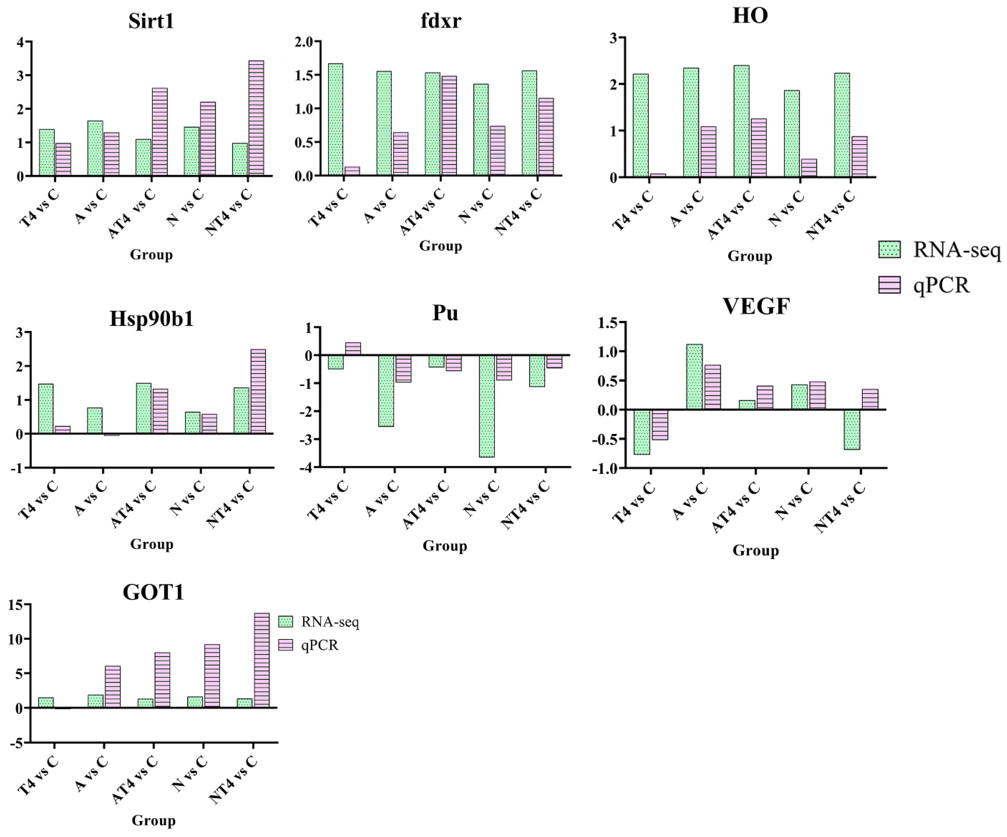 Antioxidants 12 01262 g010 Antioxidants 12 01262 g010