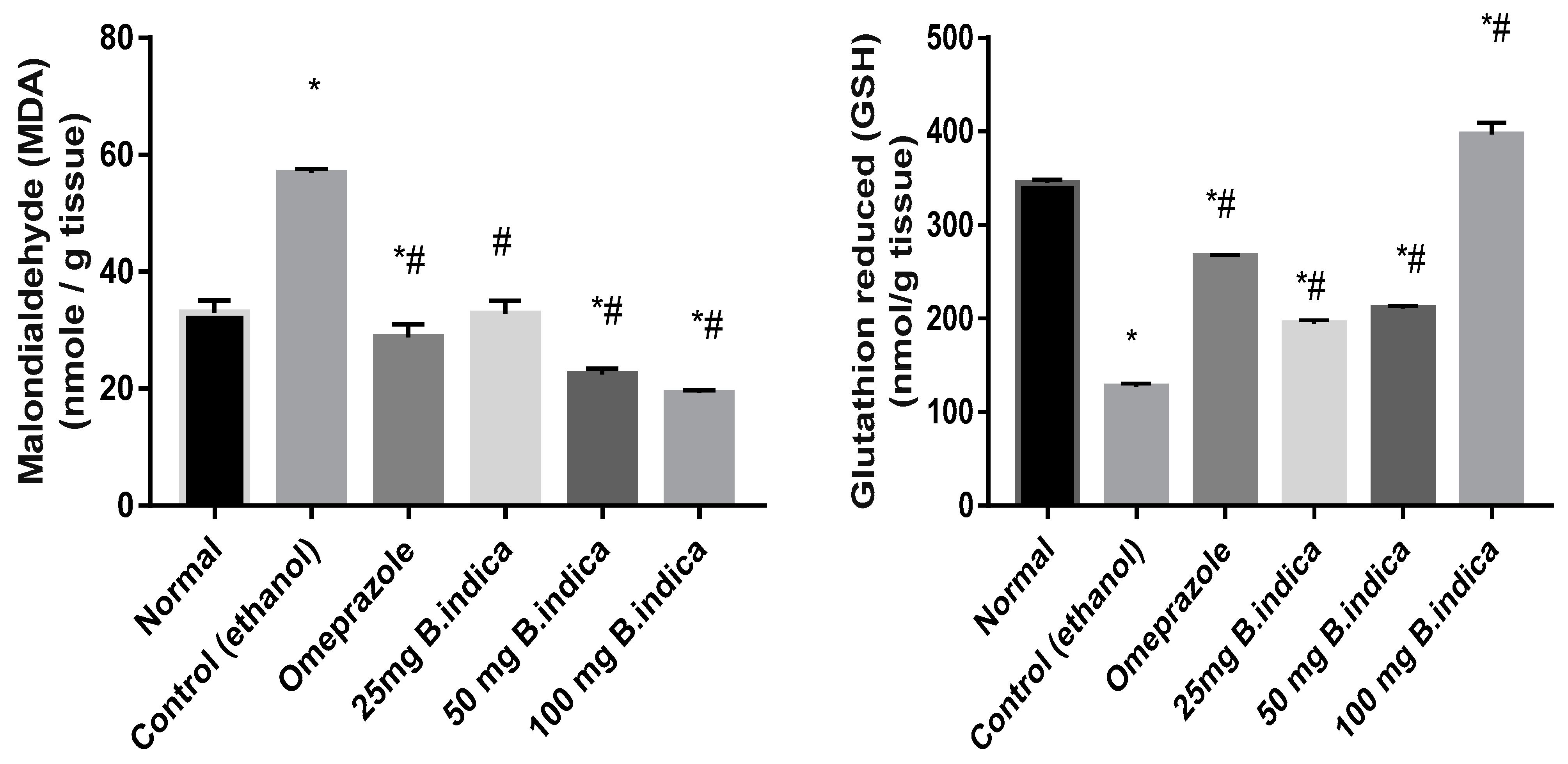 Antioxidants 12 01263 g003