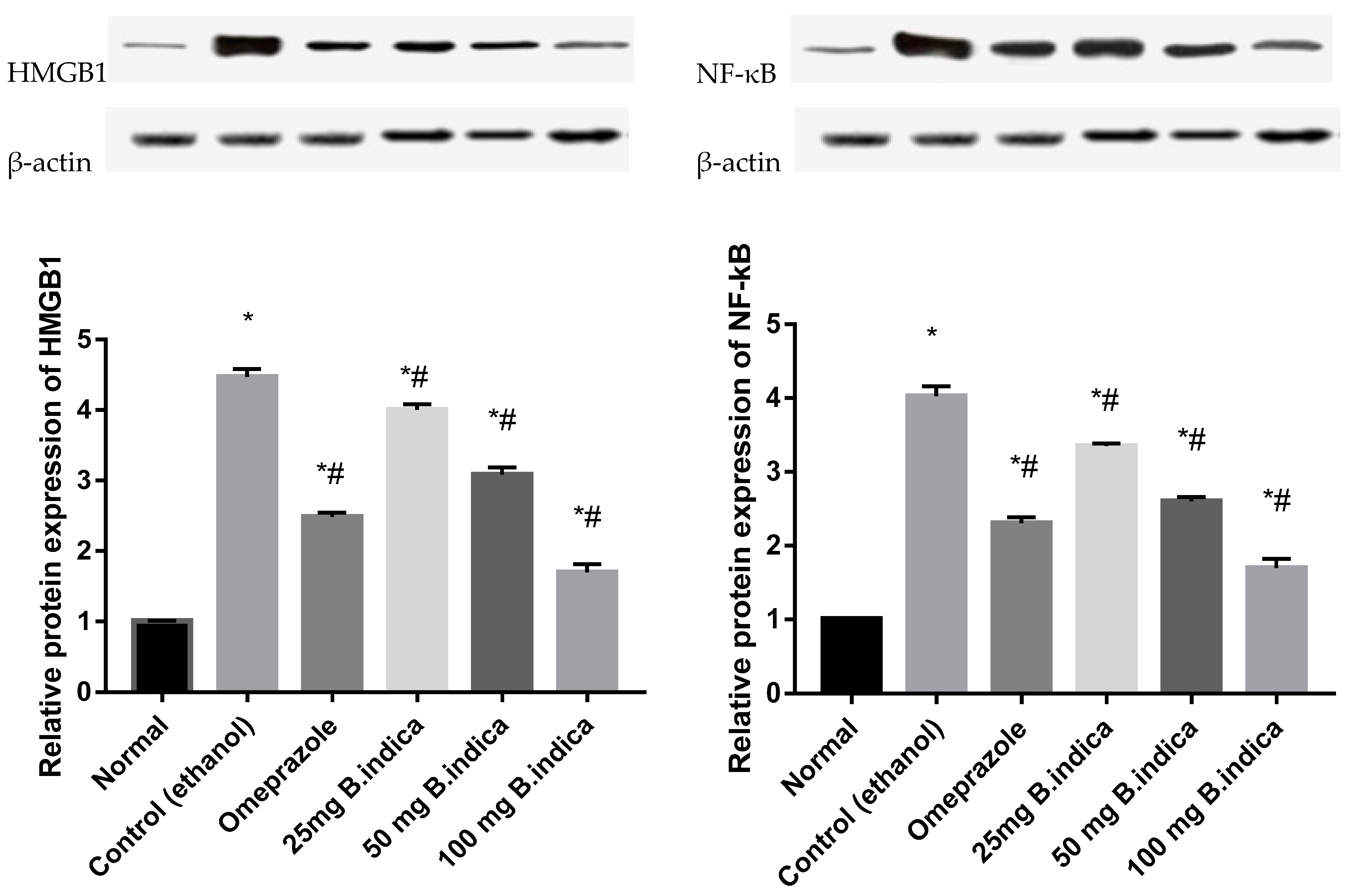 Antioxidants 12 01263 g004