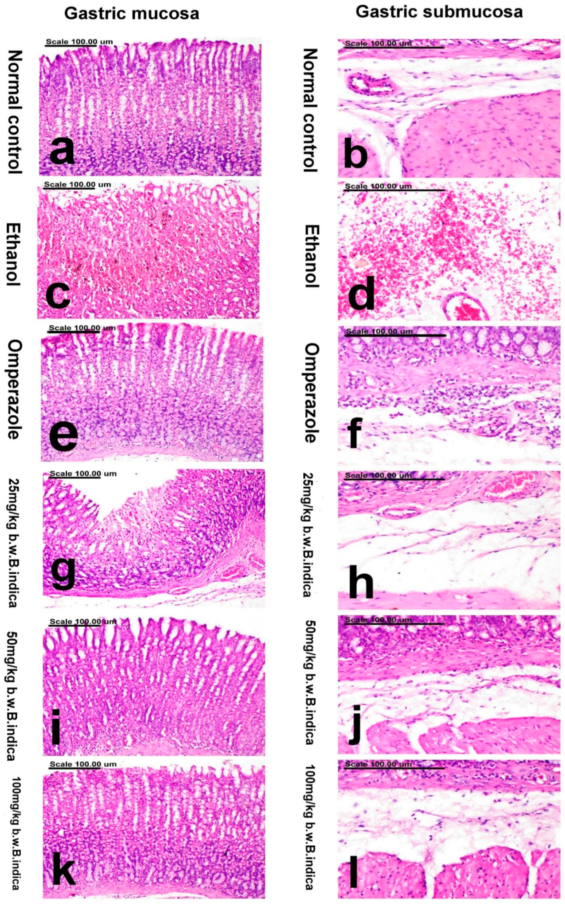 Antioxidants 12 01263 g006