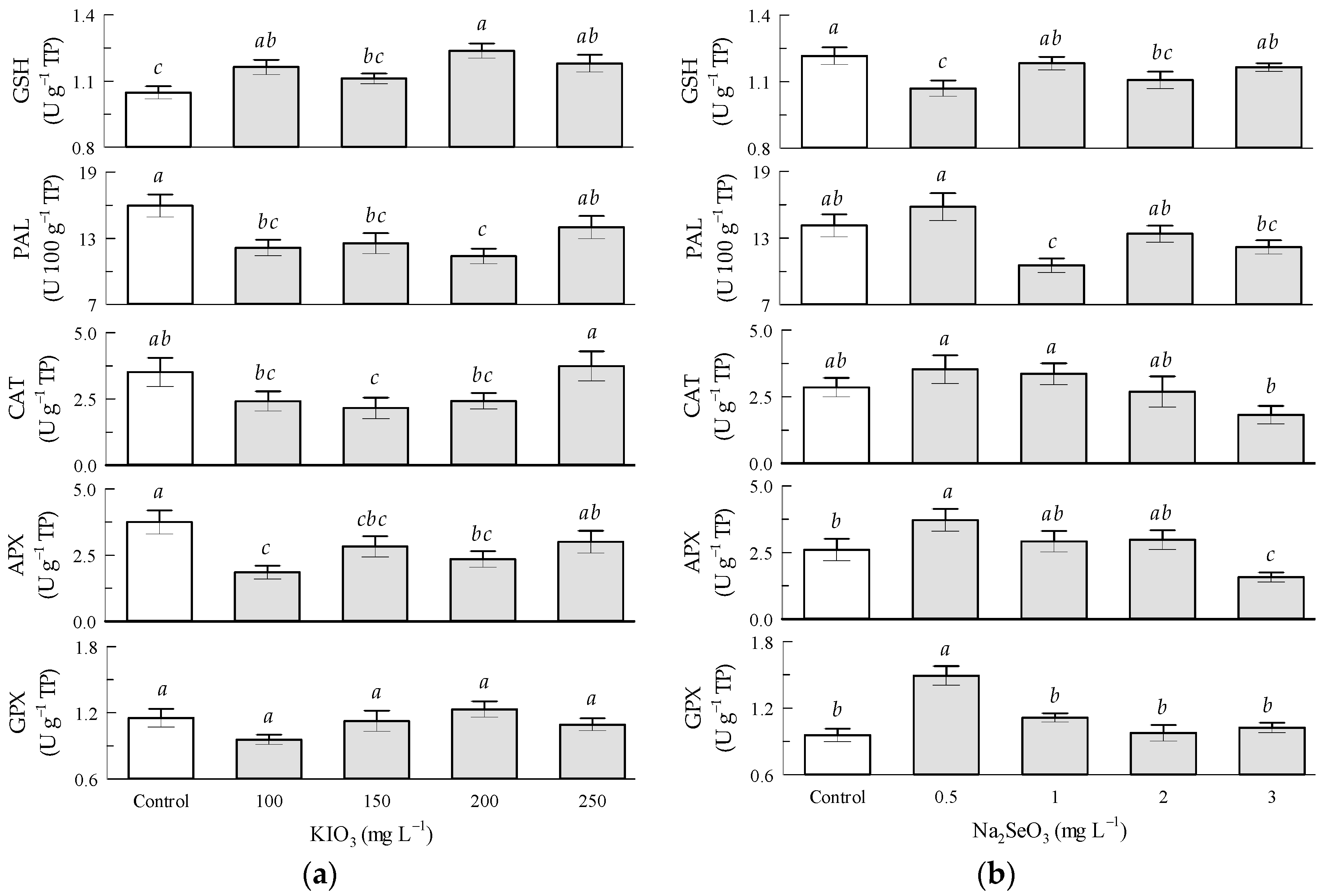 Antioxidants 12 01265 g004 Antioxidants 12 01265 g004