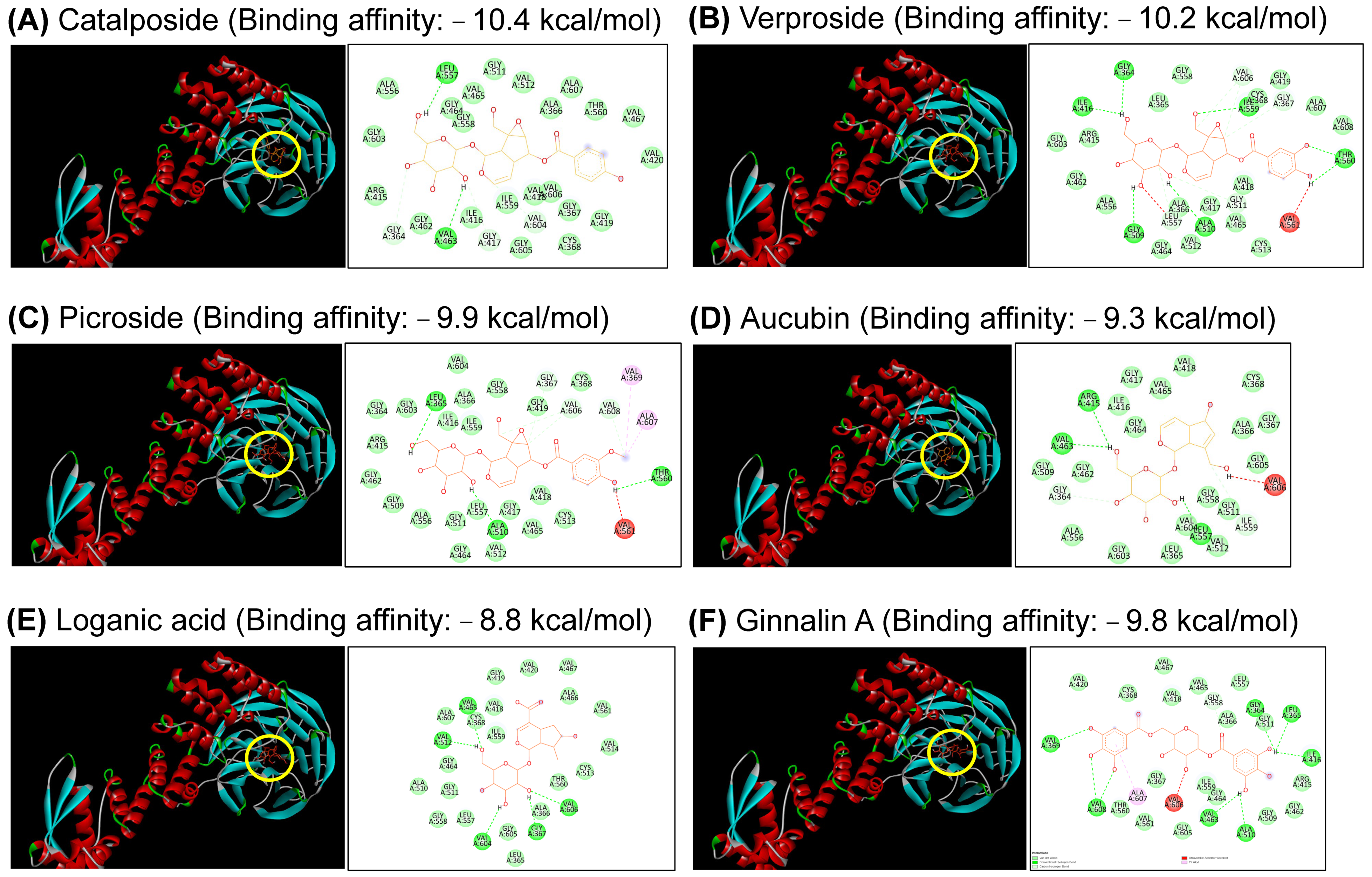 Antioxidants 12 01267 g008 Antioxidants 12 01267 g008