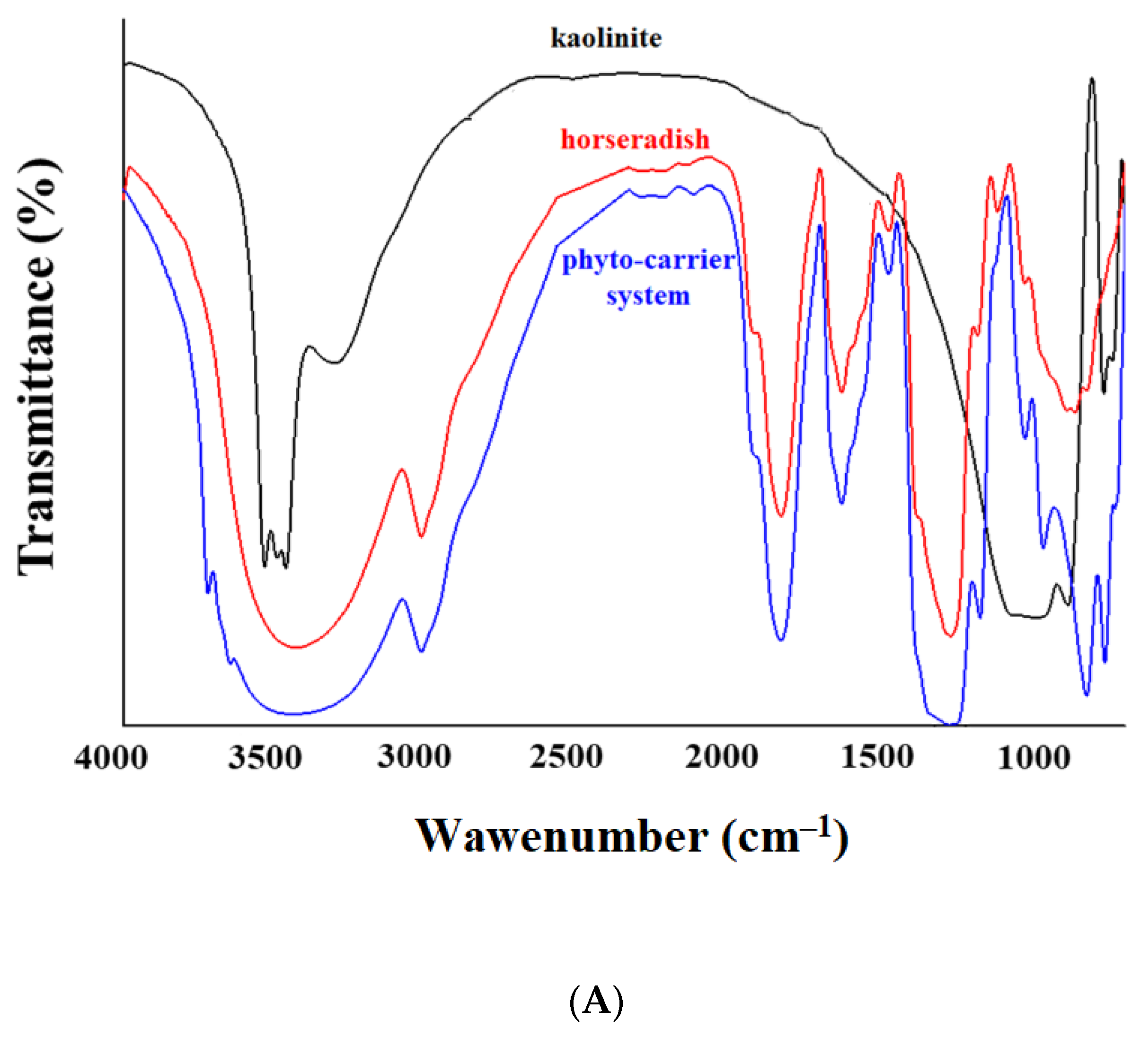 Antioxidants 12 01268 g005a