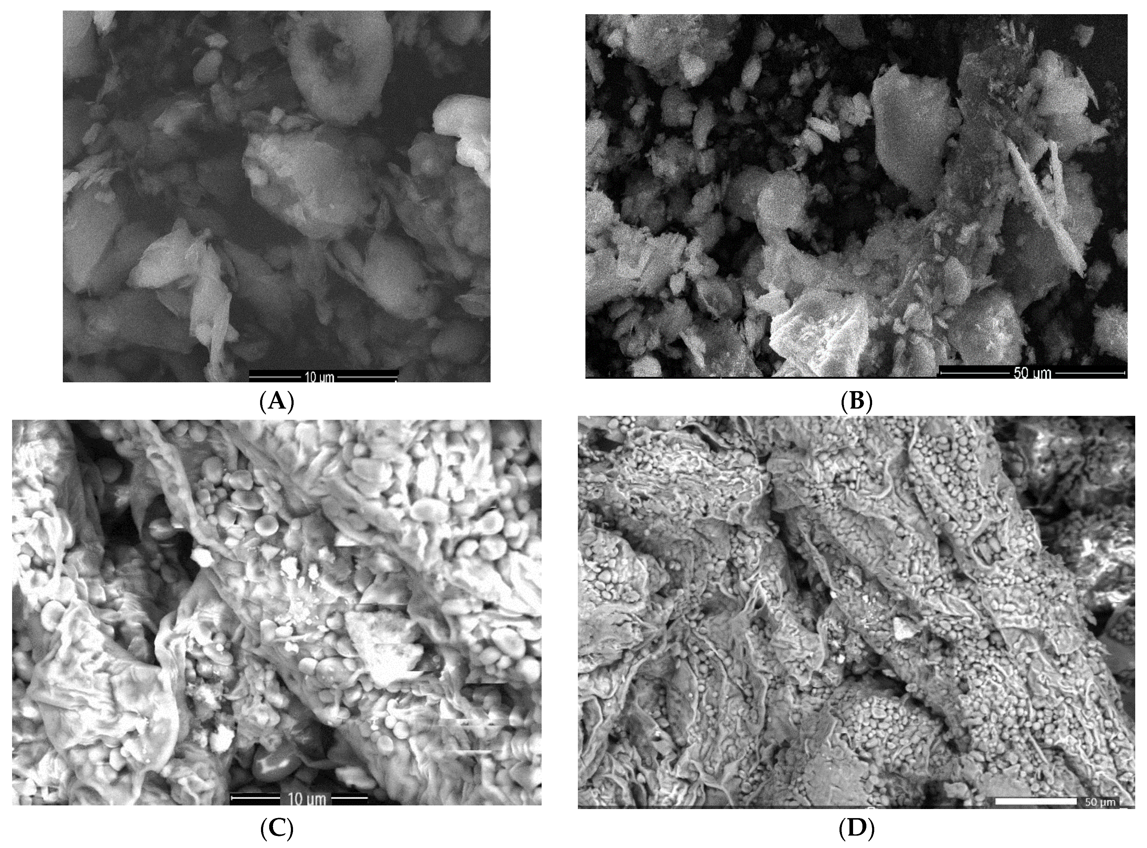 Antioxidants 12 01268 g007a