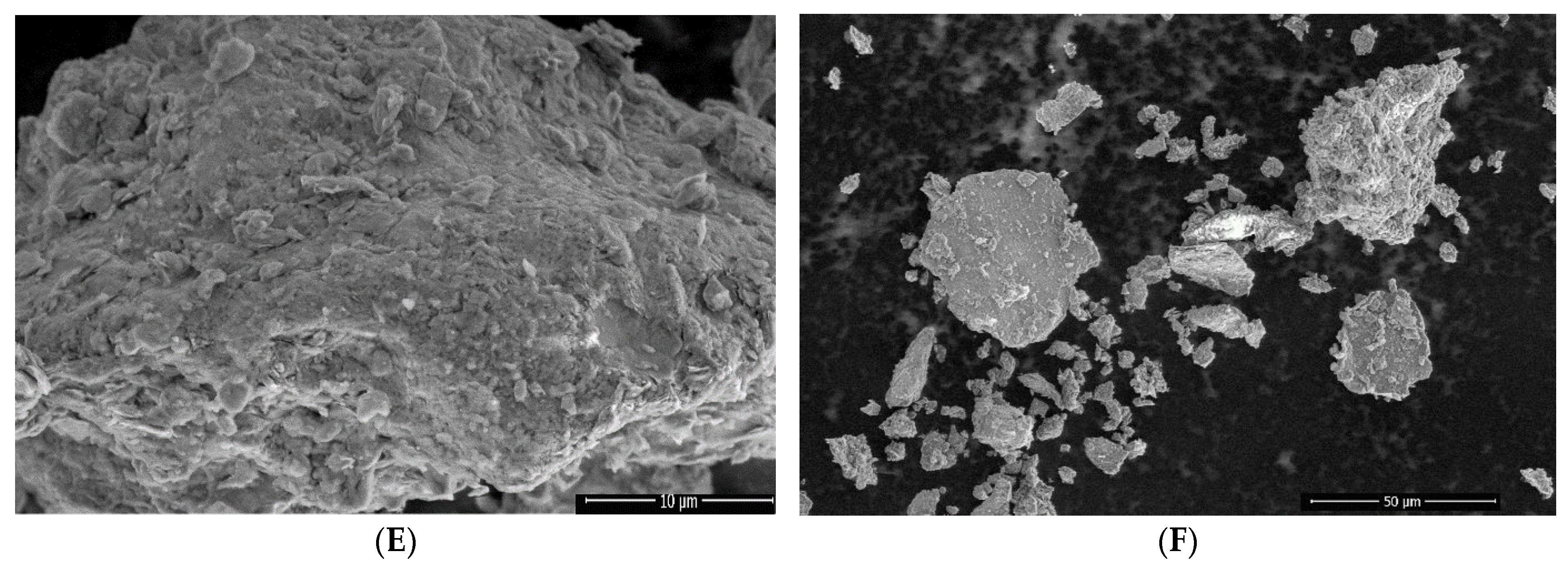 Antioxidants 12 01268 g007b