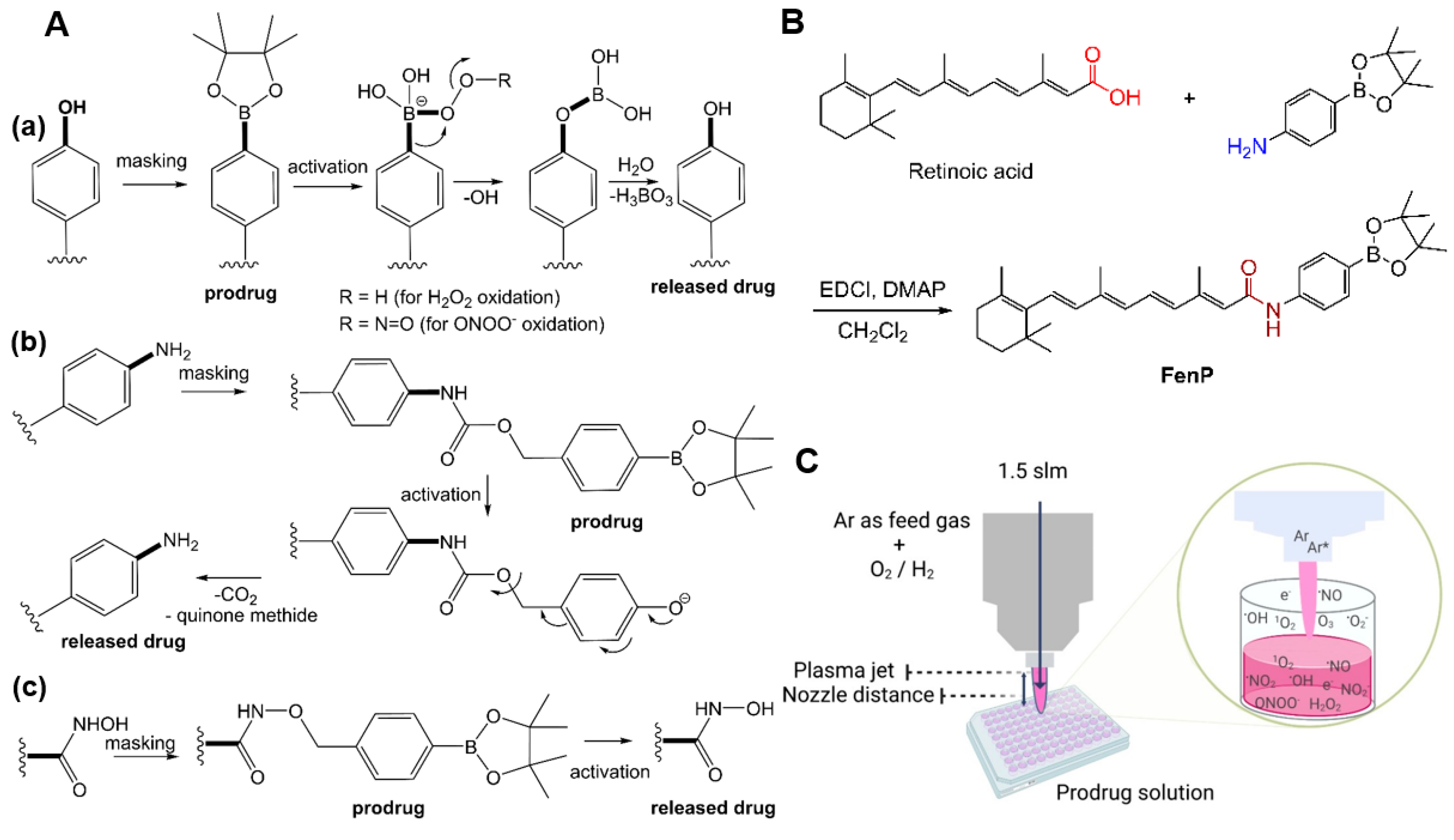 Antioxidants 12 01271 g001 Antioxidants 12 01271 g001