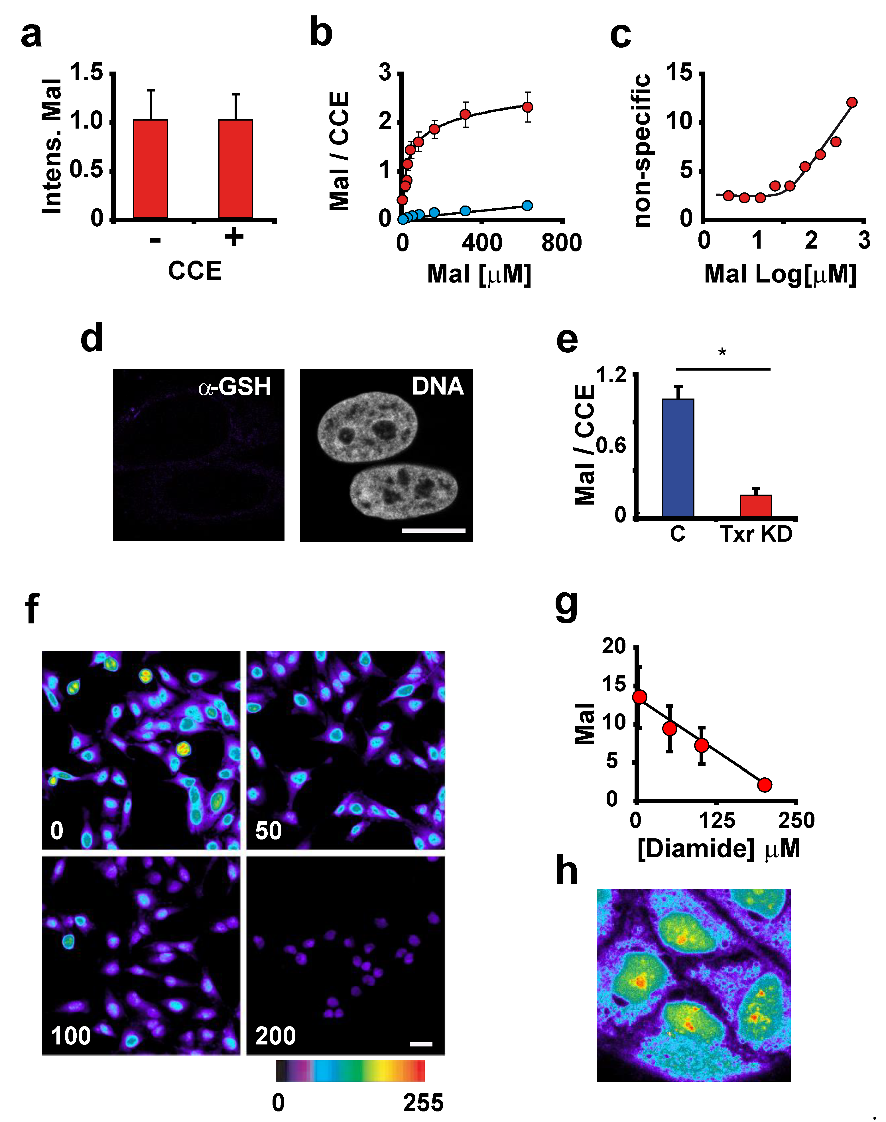 Antioxidants 12 01274 g002 Antioxidants 12 01274 g002
