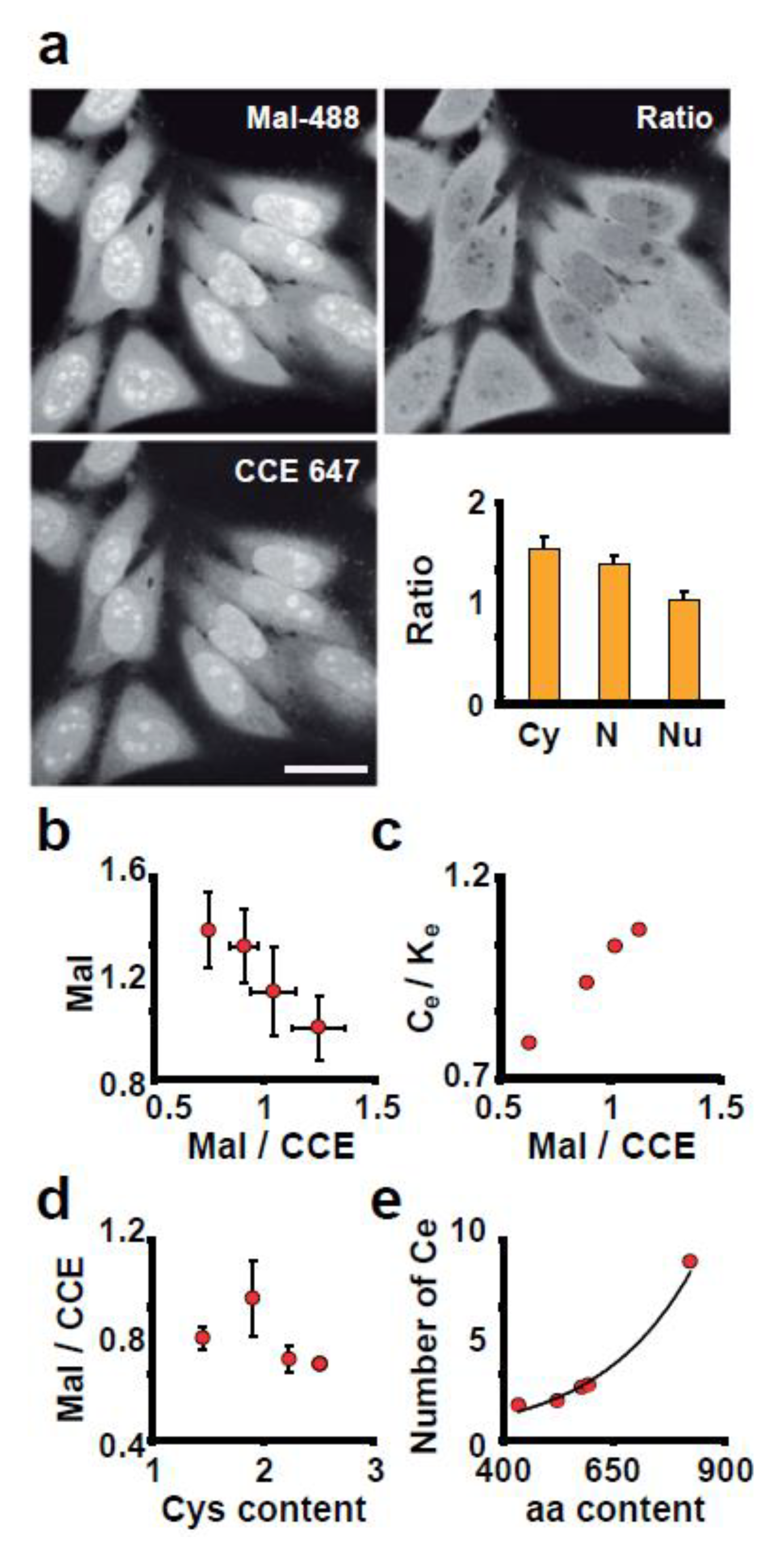Antioxidants 12 01274 g005 Antioxidants 12 01274 g005