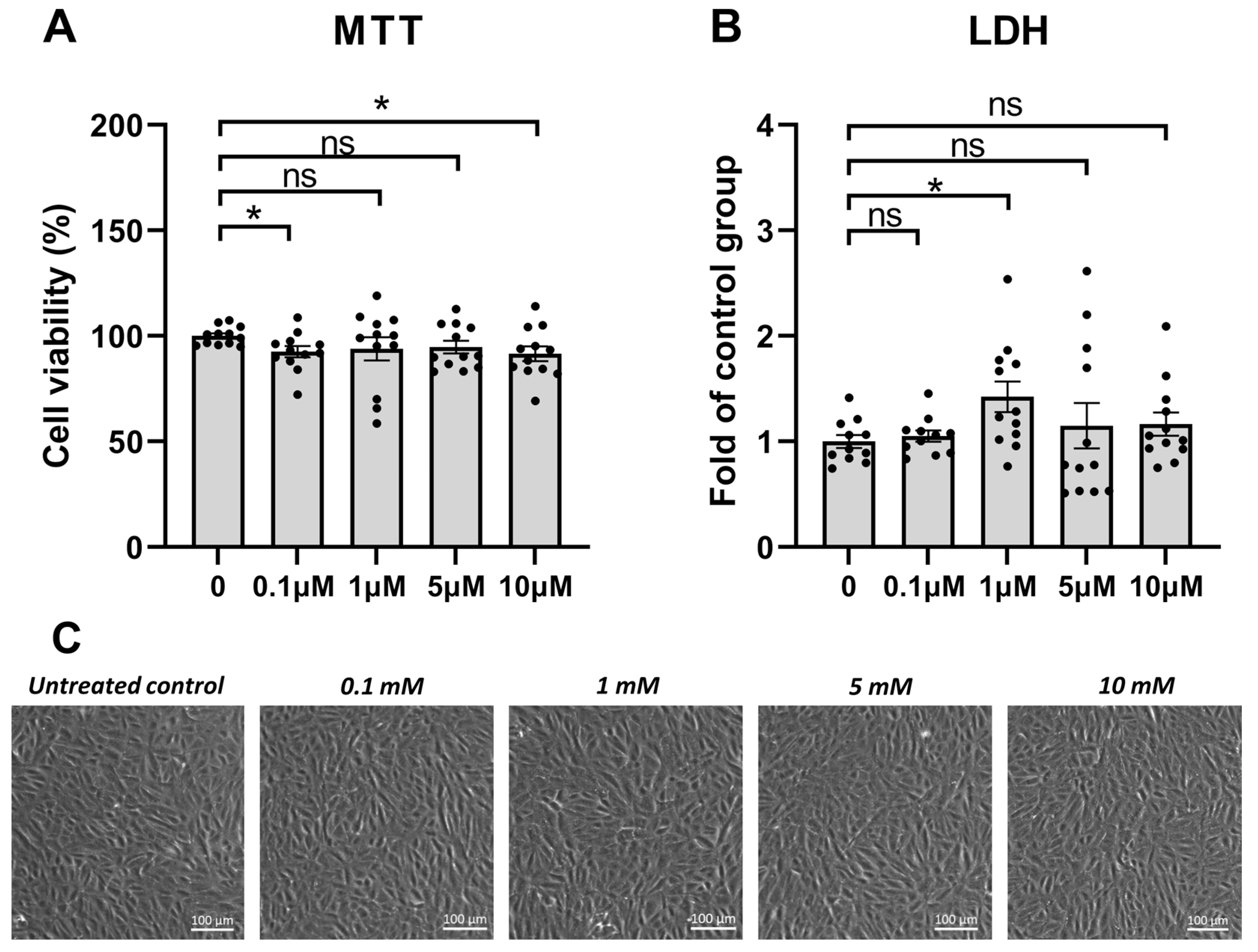 Antioxidants 12 01279 g001 Antioxidants 12 01279 g001