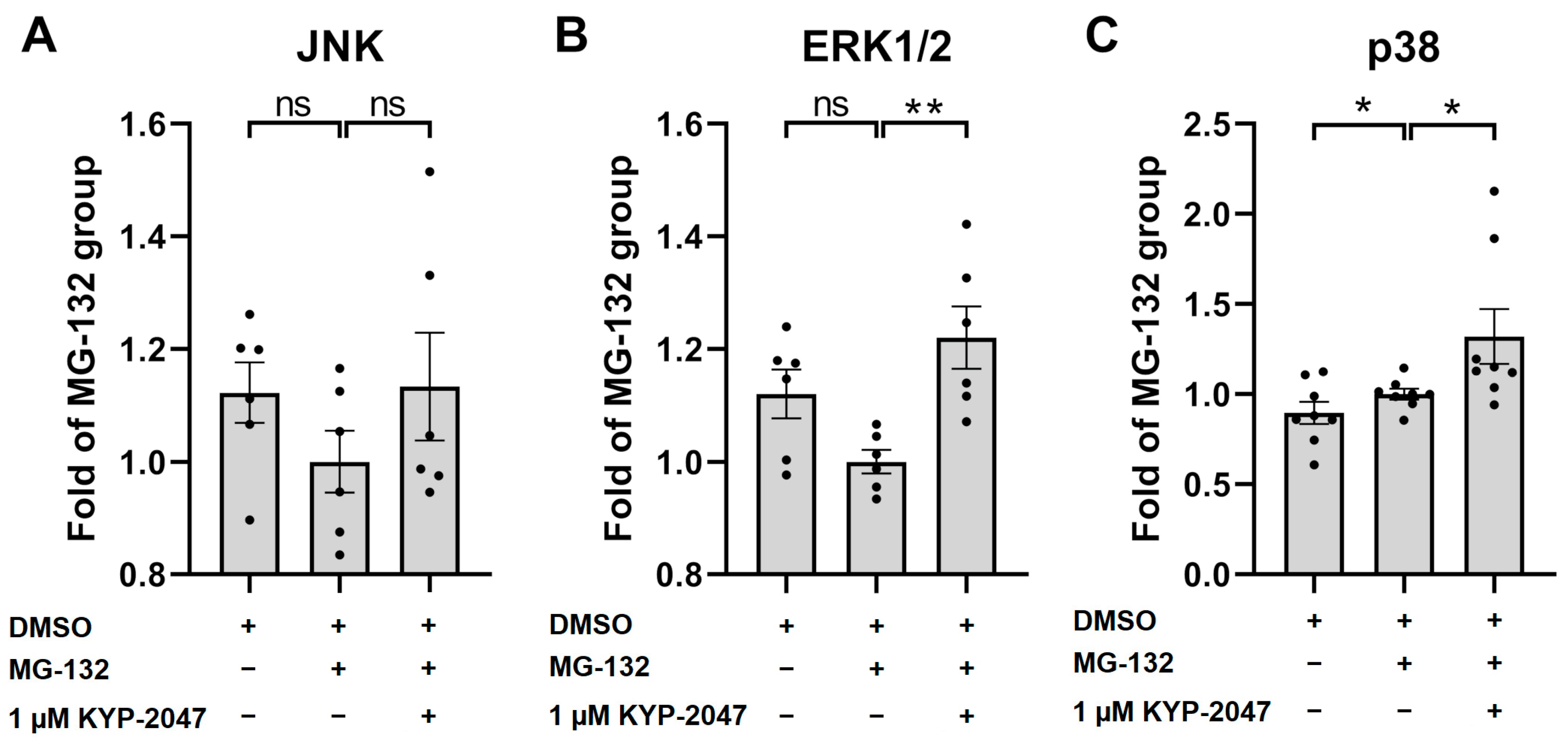 Antioxidants 12 01279 g006 Antioxidants 12 01279 g006
