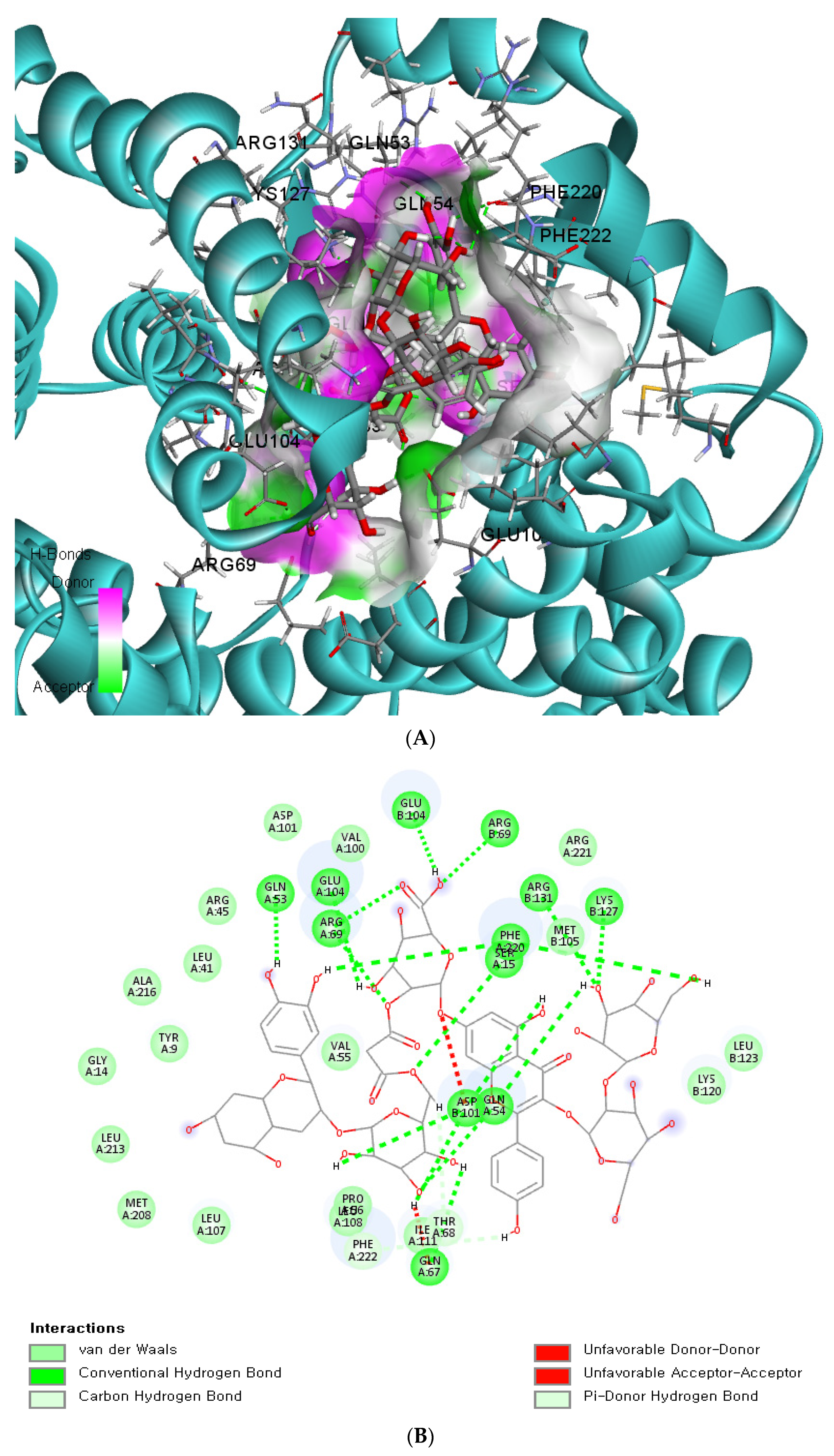 Antioxidants 12 01280 g004a Antioxidants 12 01280 g004a