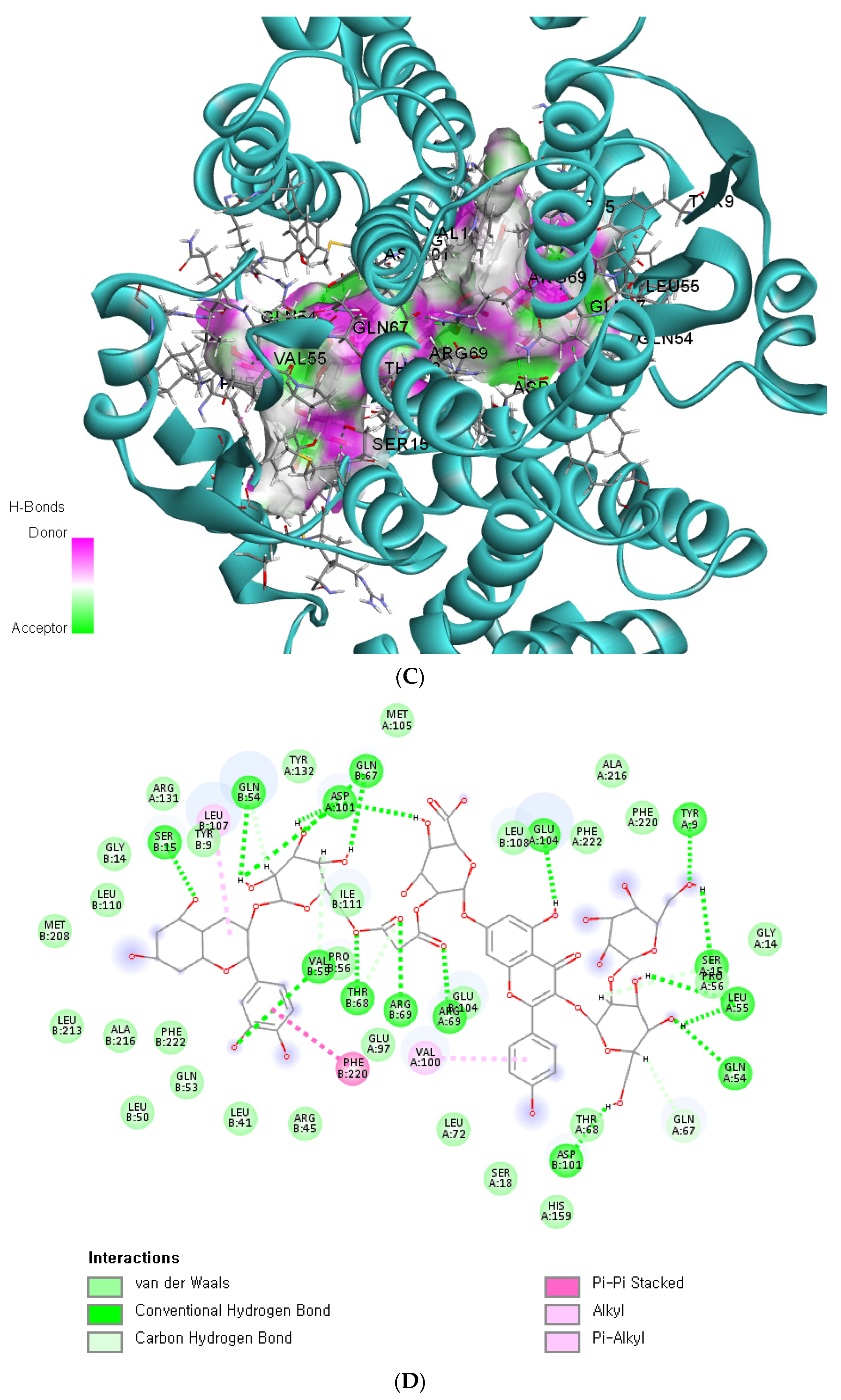 Antioxidants 12 01280 g004b Antioxidants 12 01280 g004b
