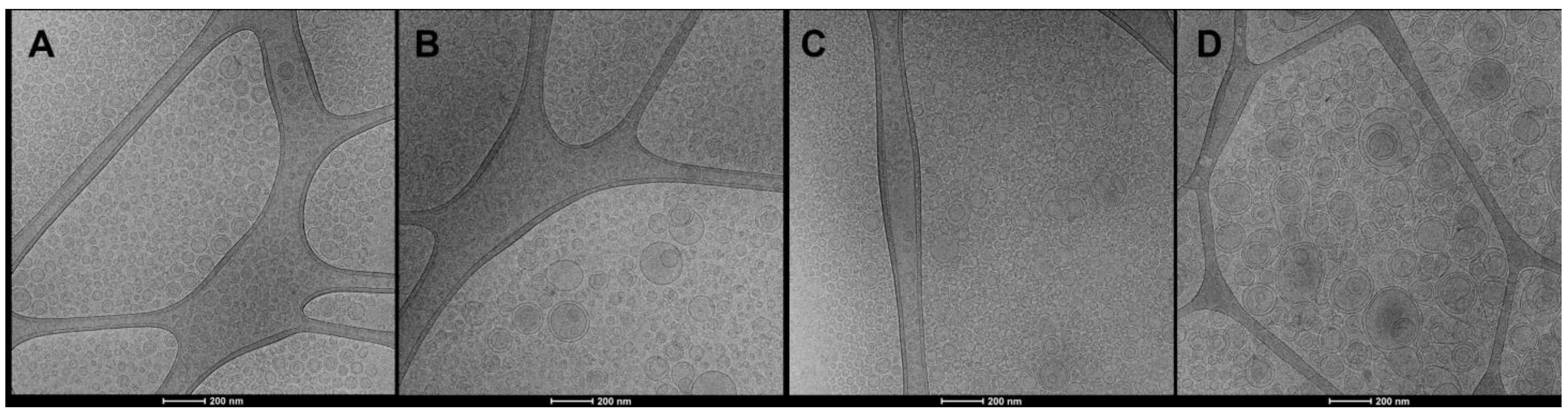 Antioxidants 12 01285 g001
