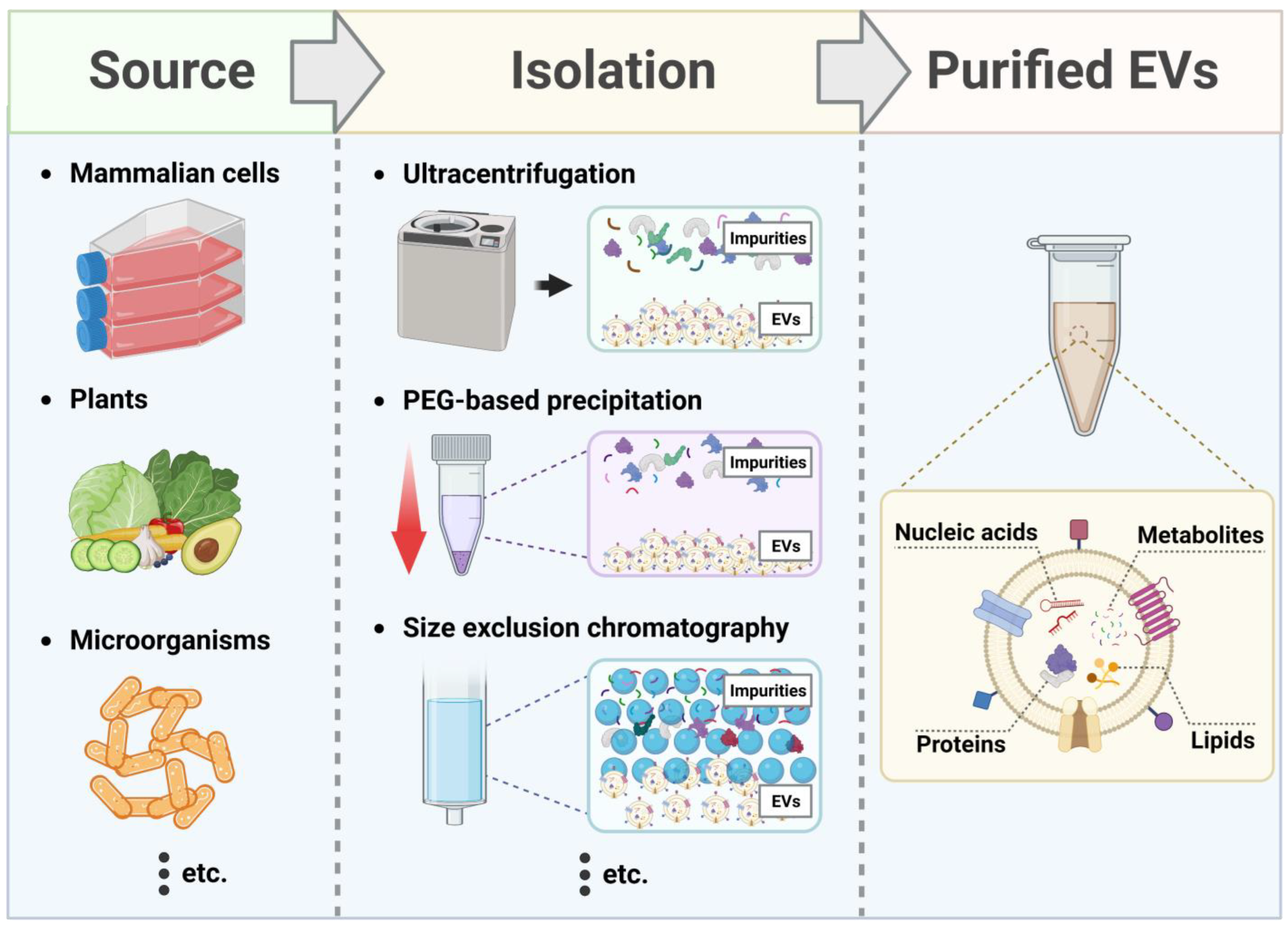 Antioxidants 12 01286 g002