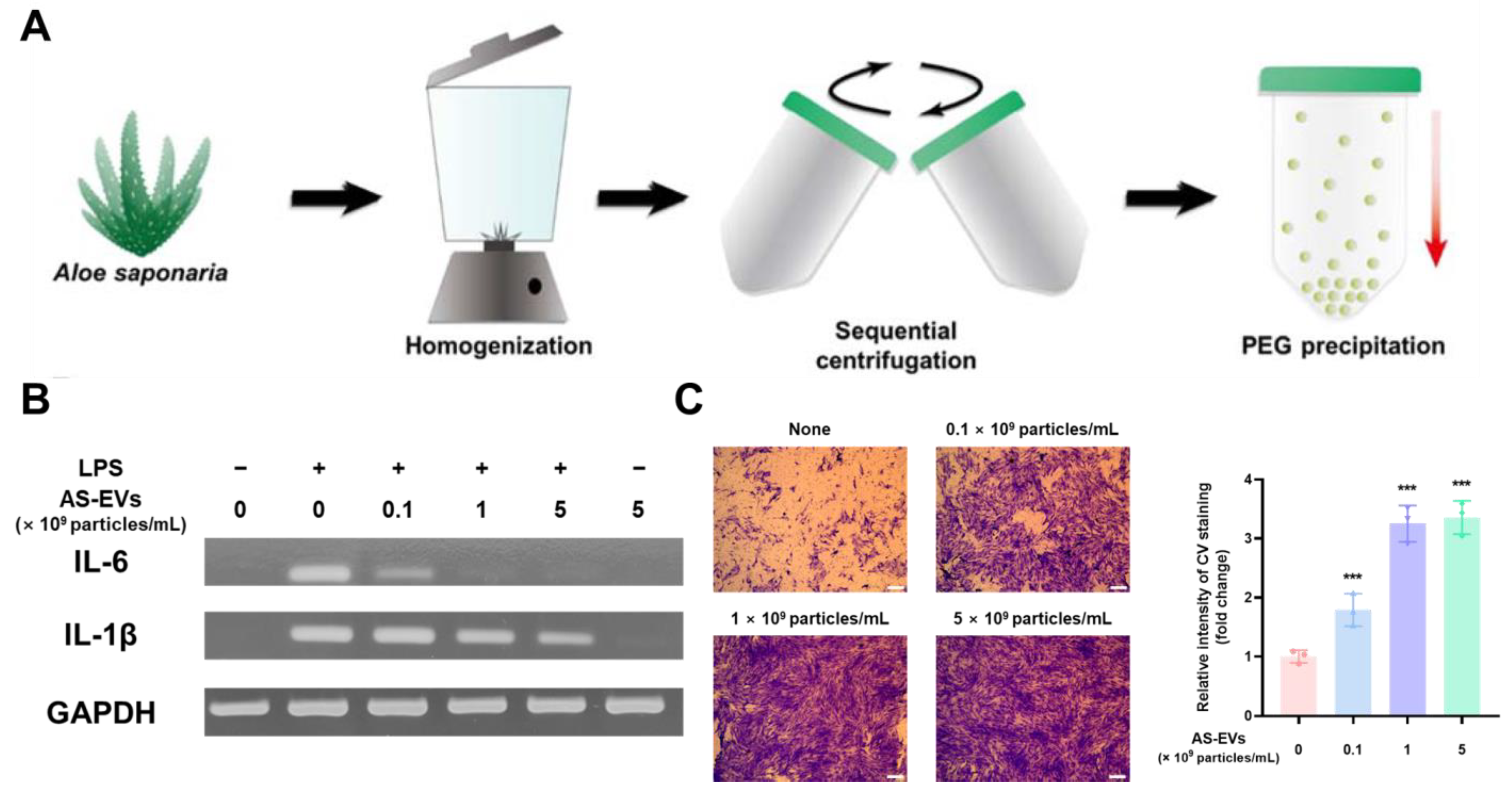 Antioxidants 12 01286 g003
