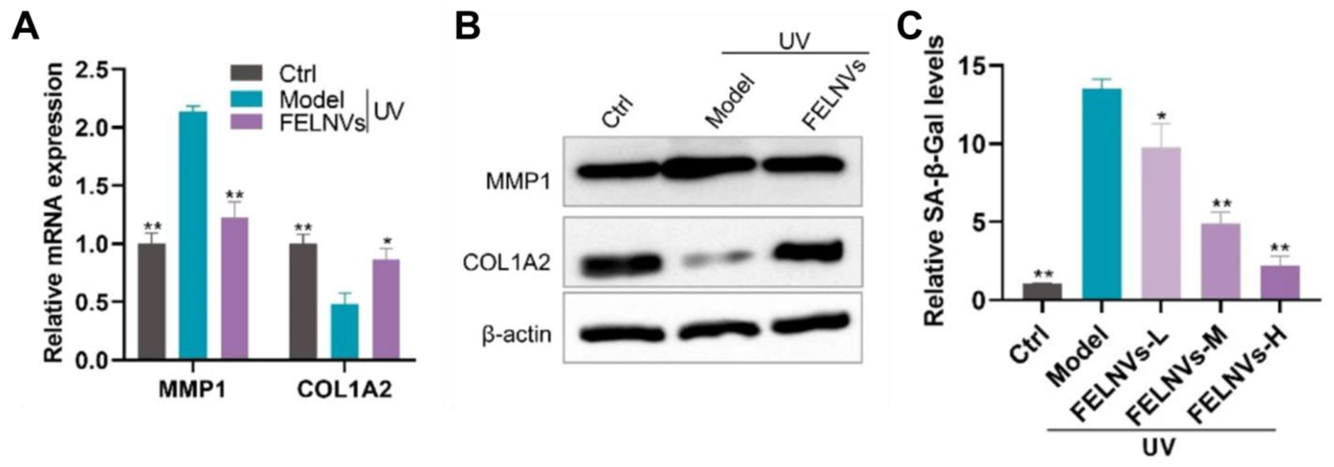 Antioxidants 12 01286 g005