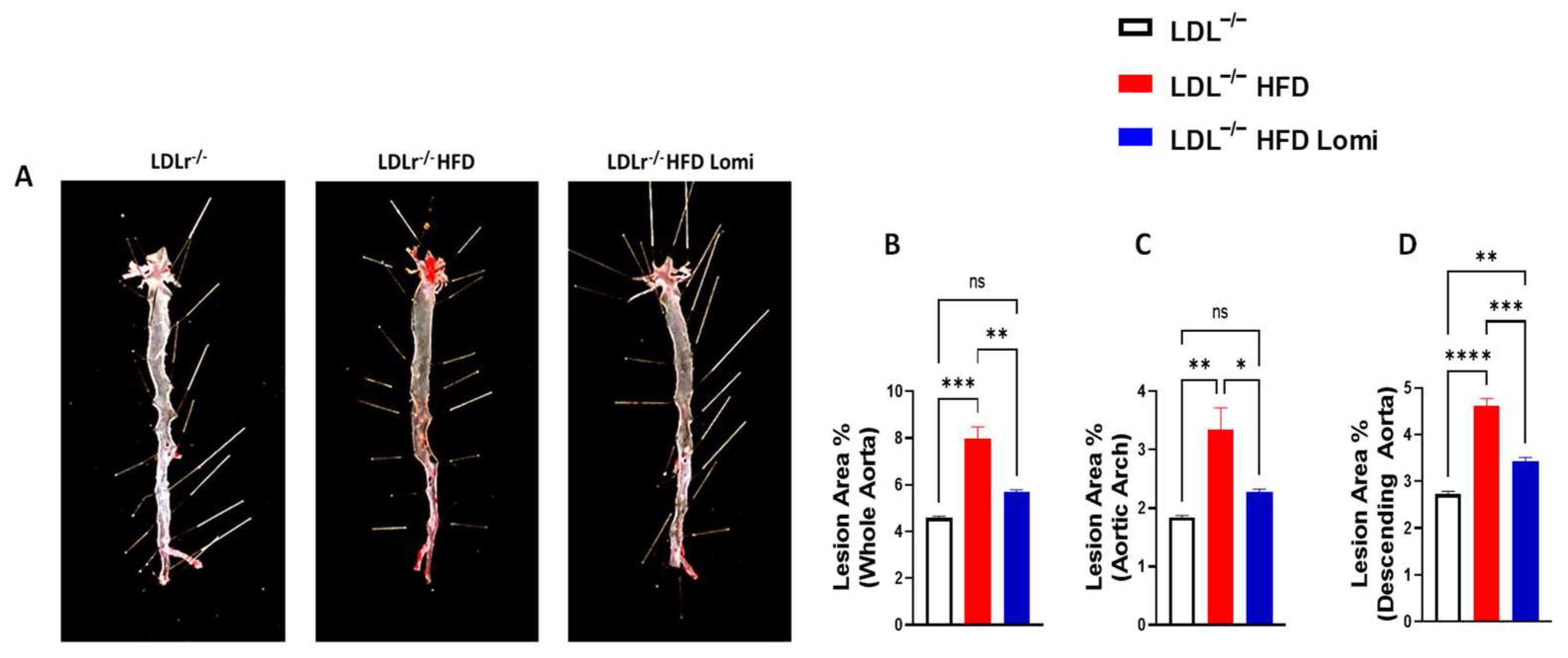 Antioxidants 12 01287 g003