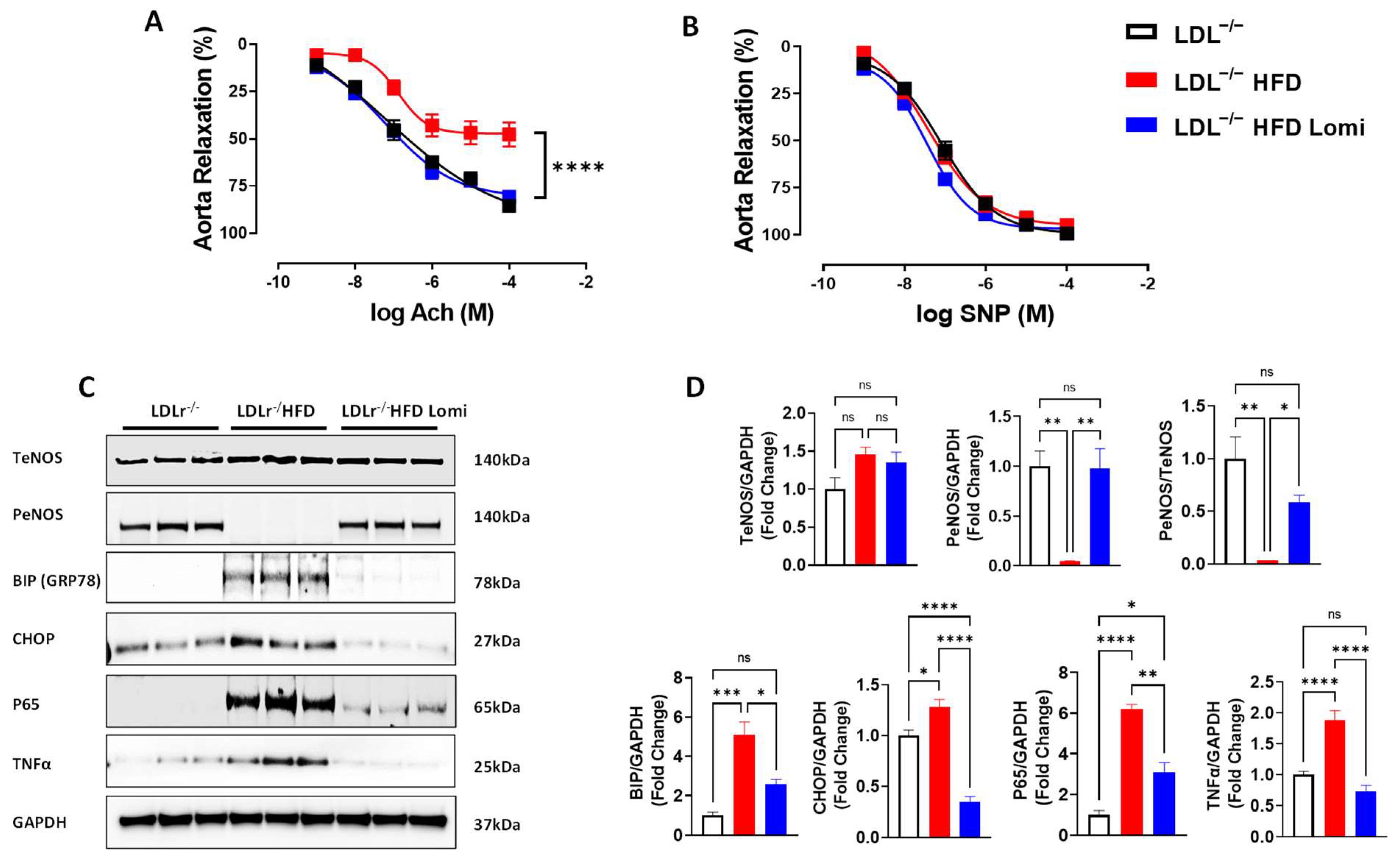 Antioxidants 12 01287 g004
