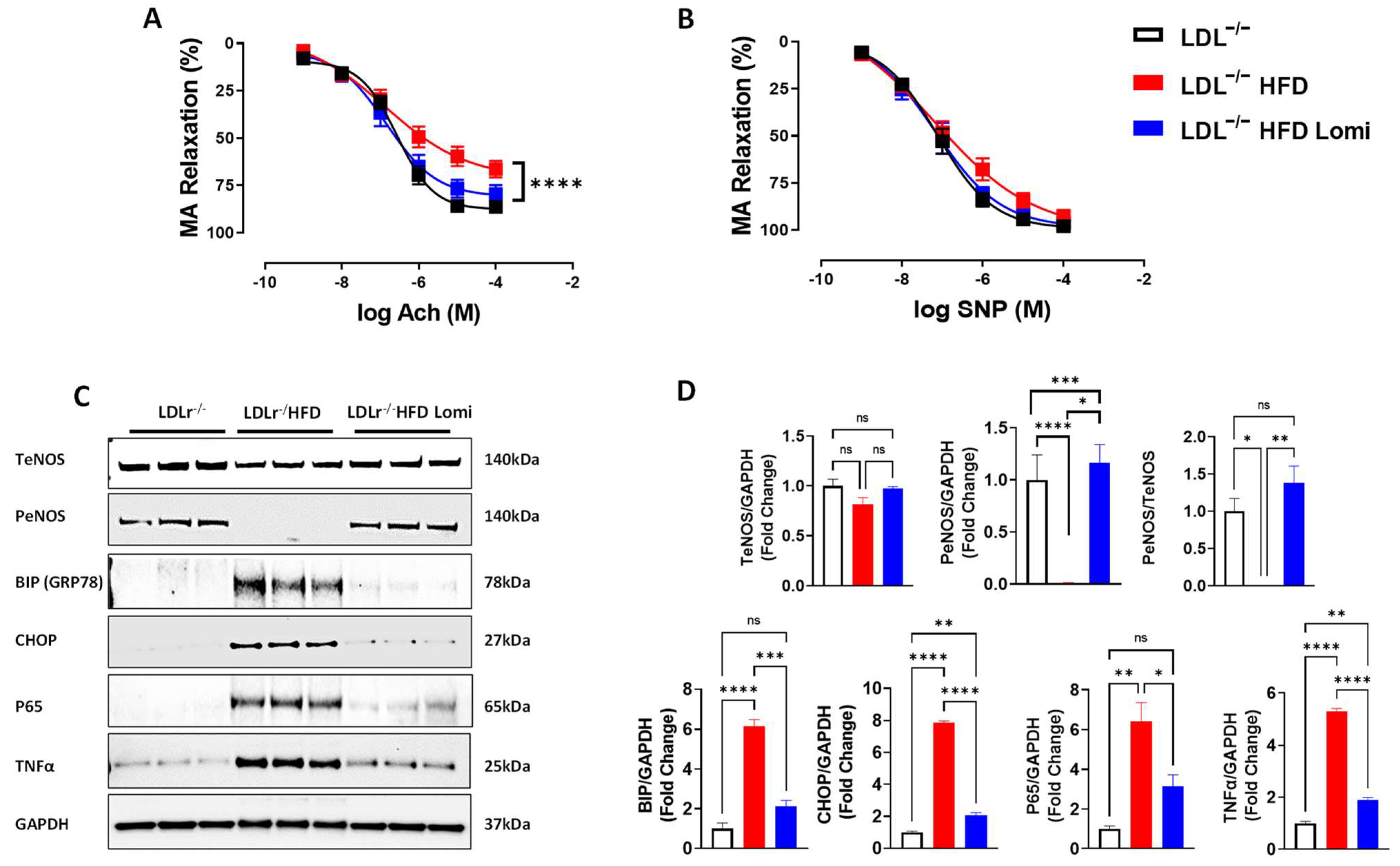 Antioxidants 12 01287 g005