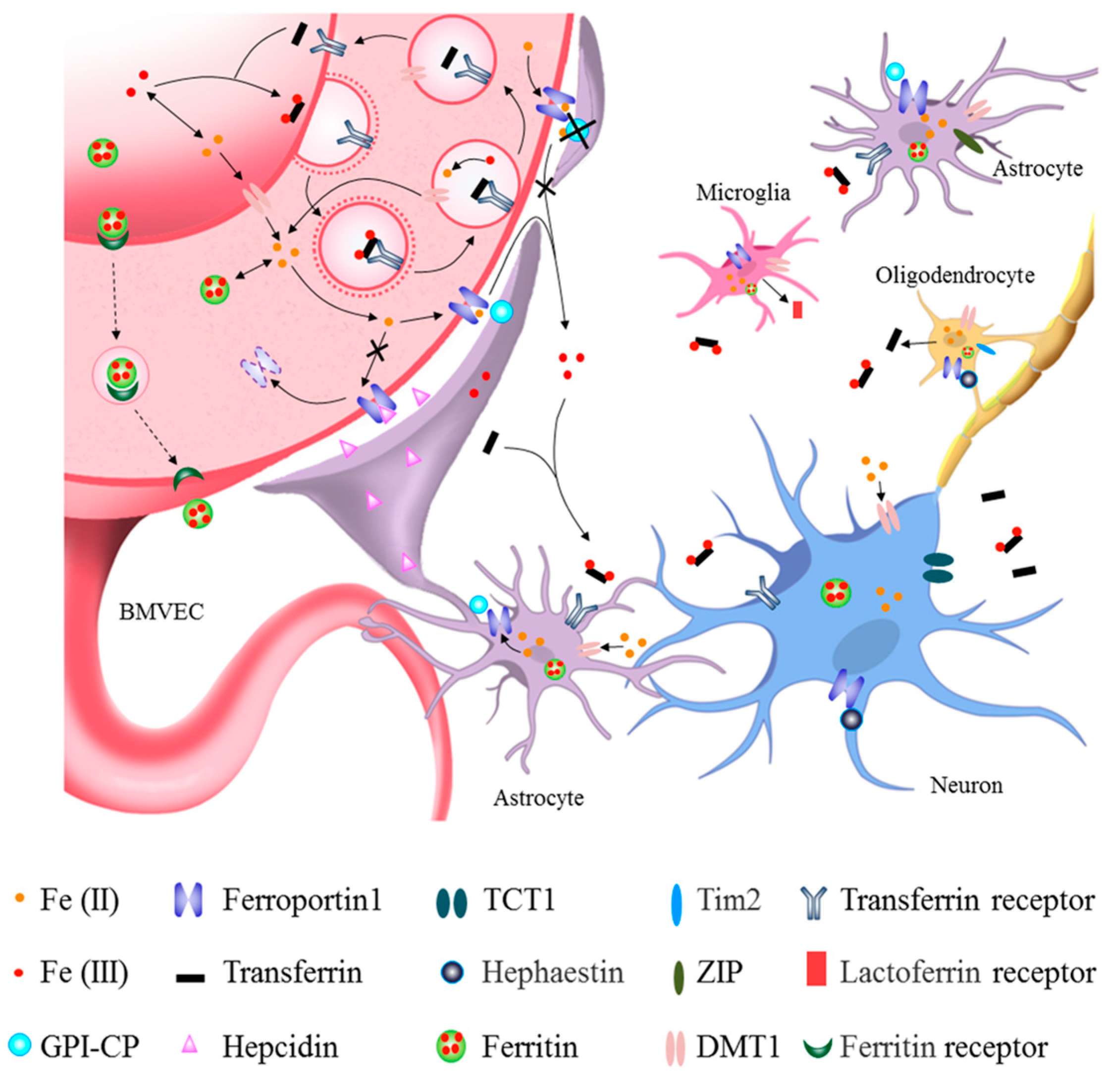 Antioxidants 12 01289 g001
